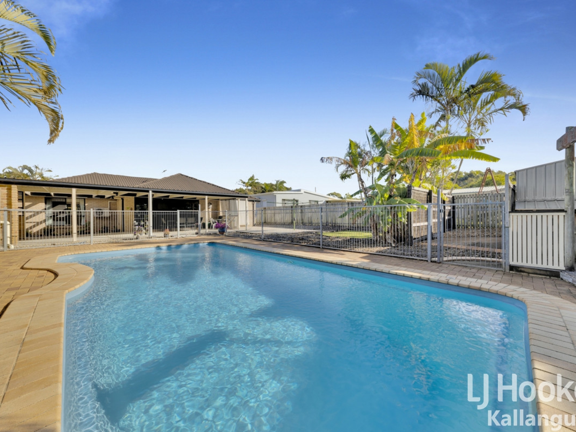 6 Jezebel Place Kallangur QLD