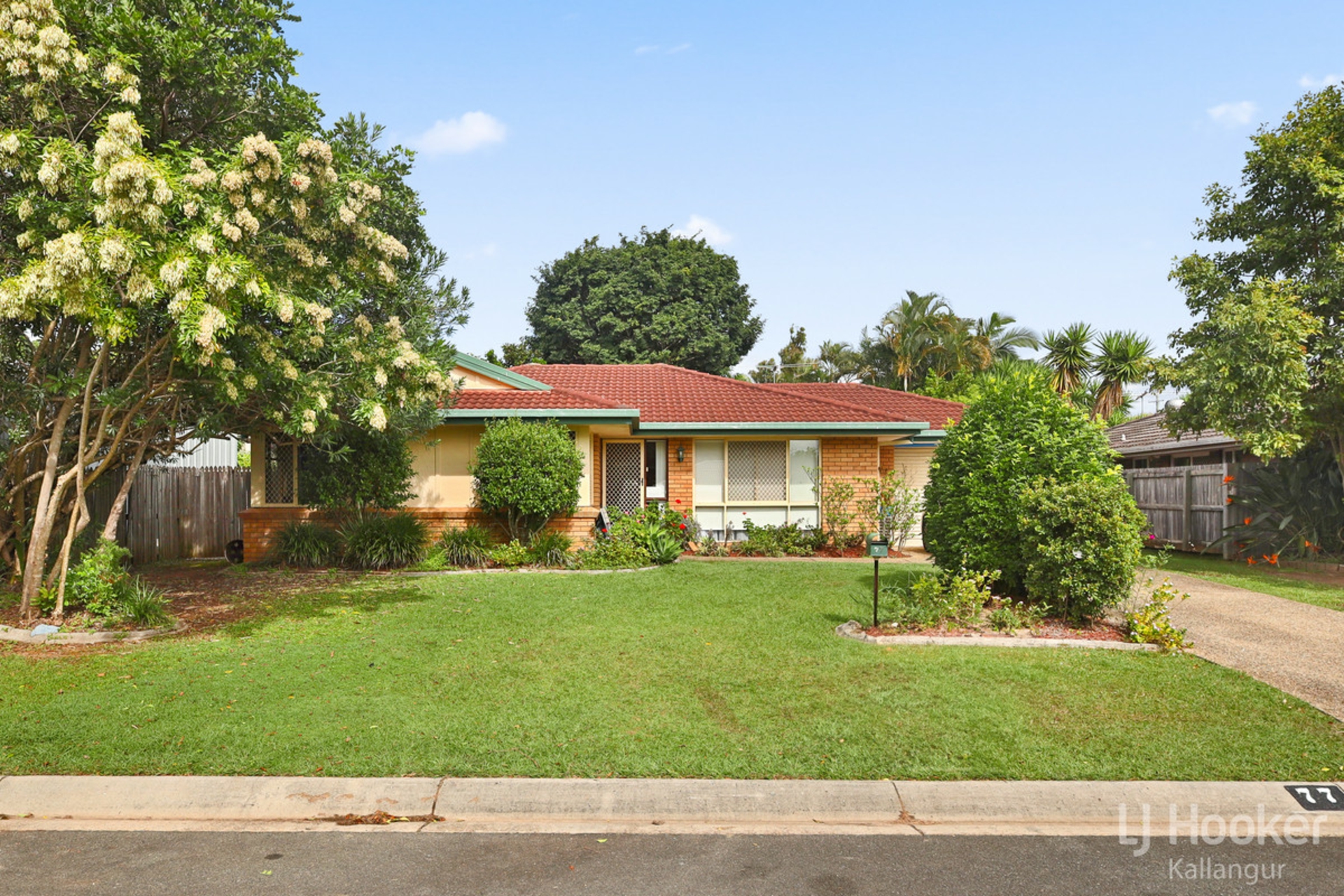 77 Claremont Drive, Murrumba Downs