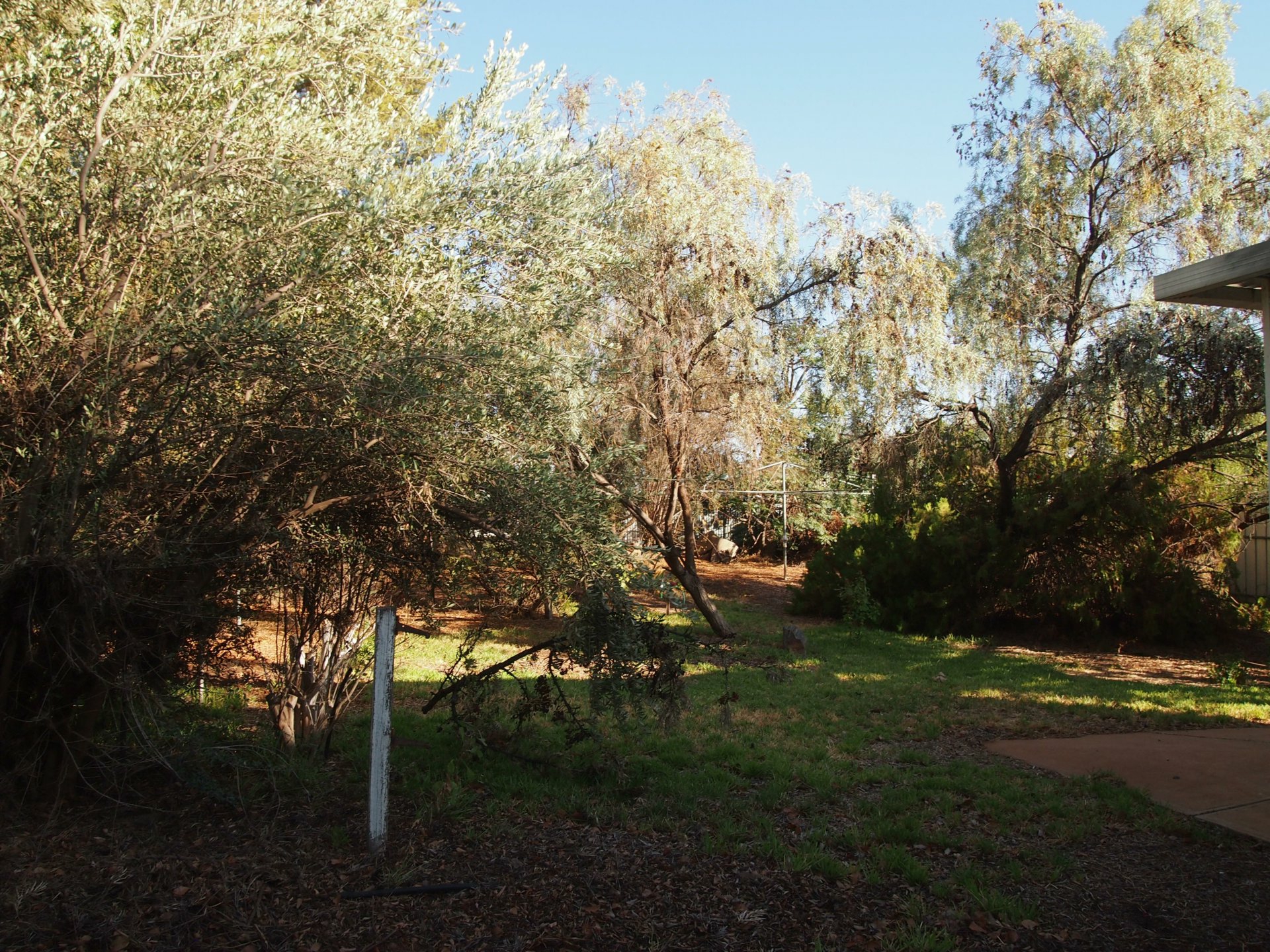 462 Wyman Street, BROKEN HILL
