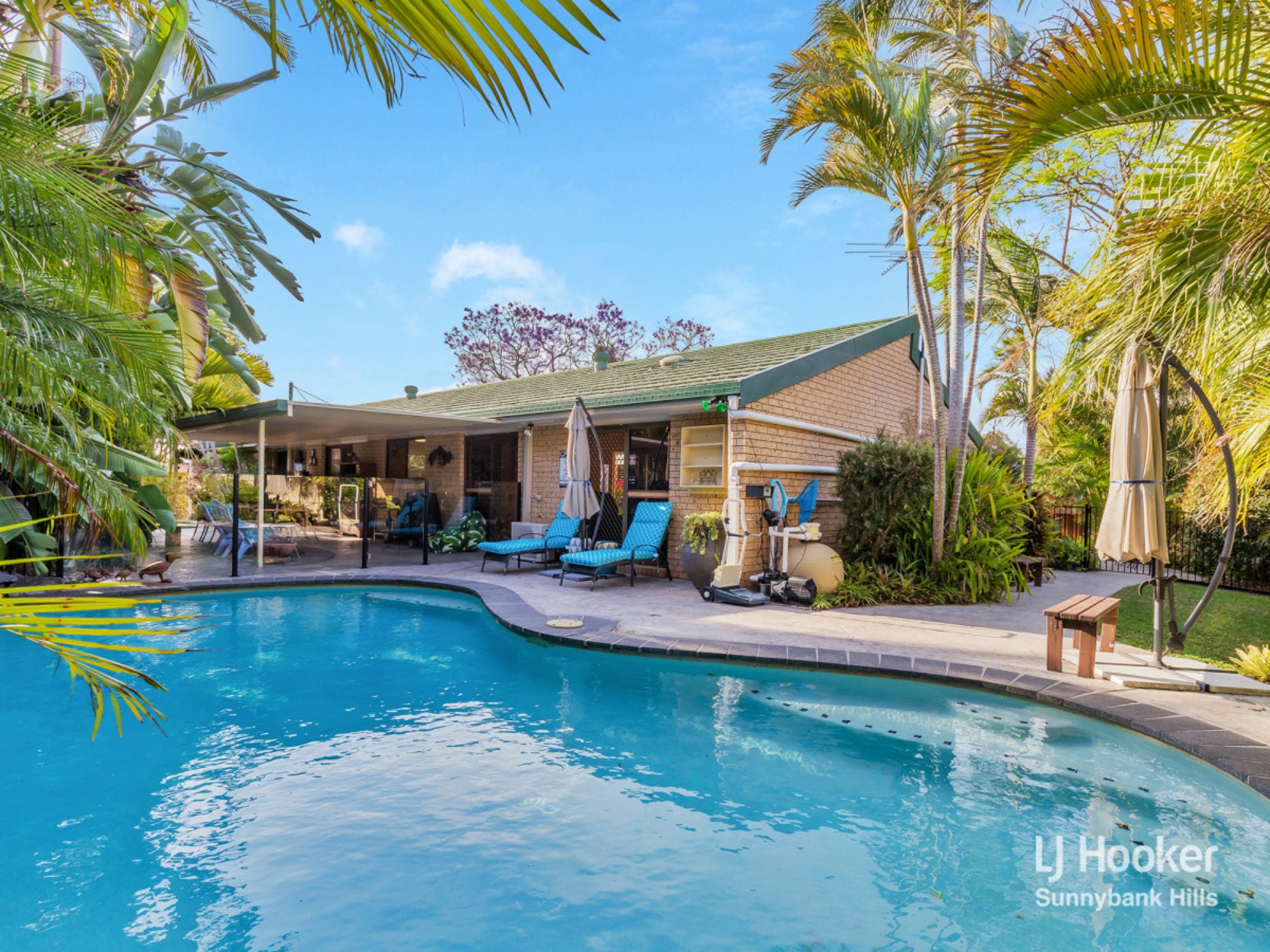3 Albezia Street, ALGESTER