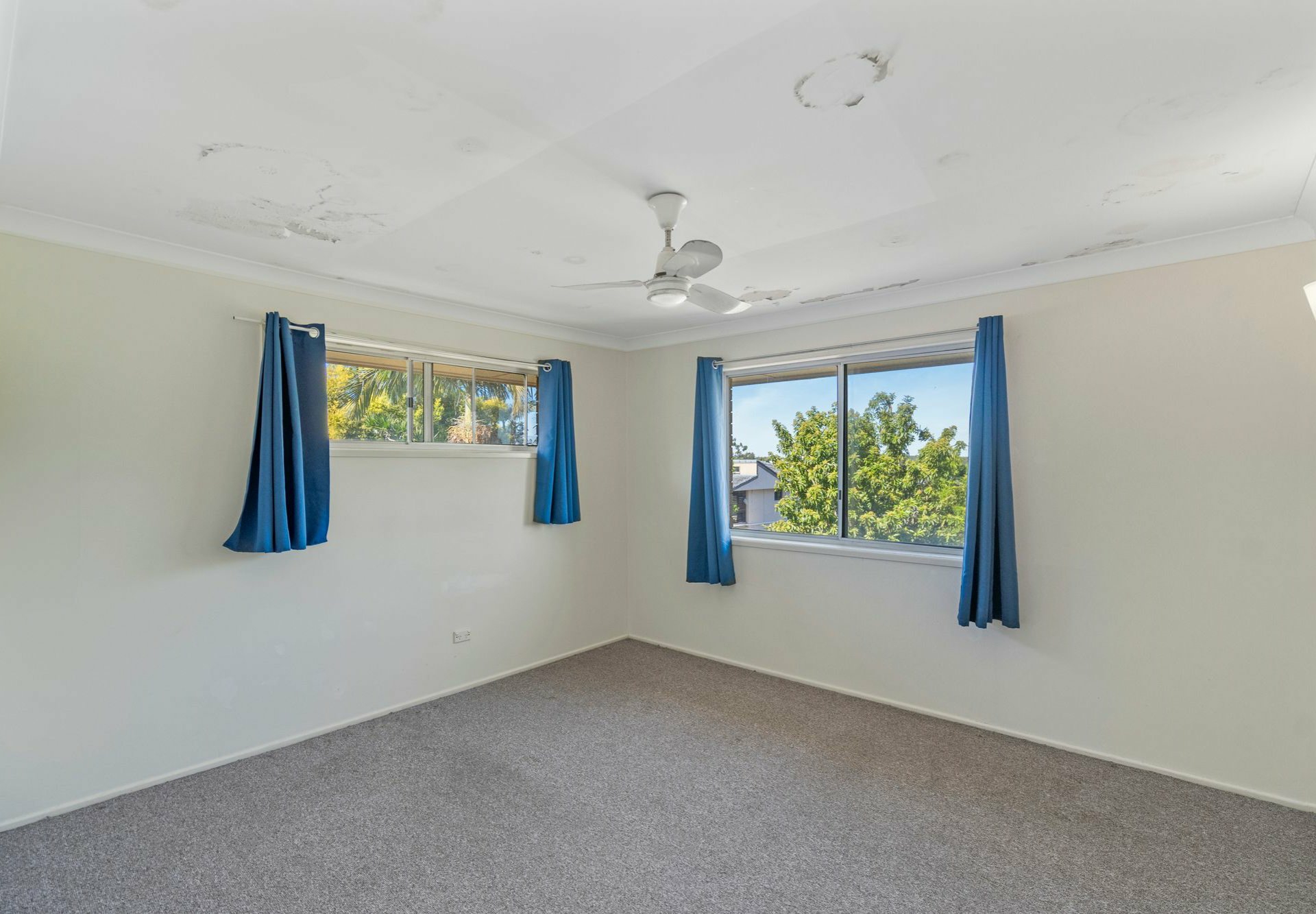 11 Booyong Street, ALGESTER