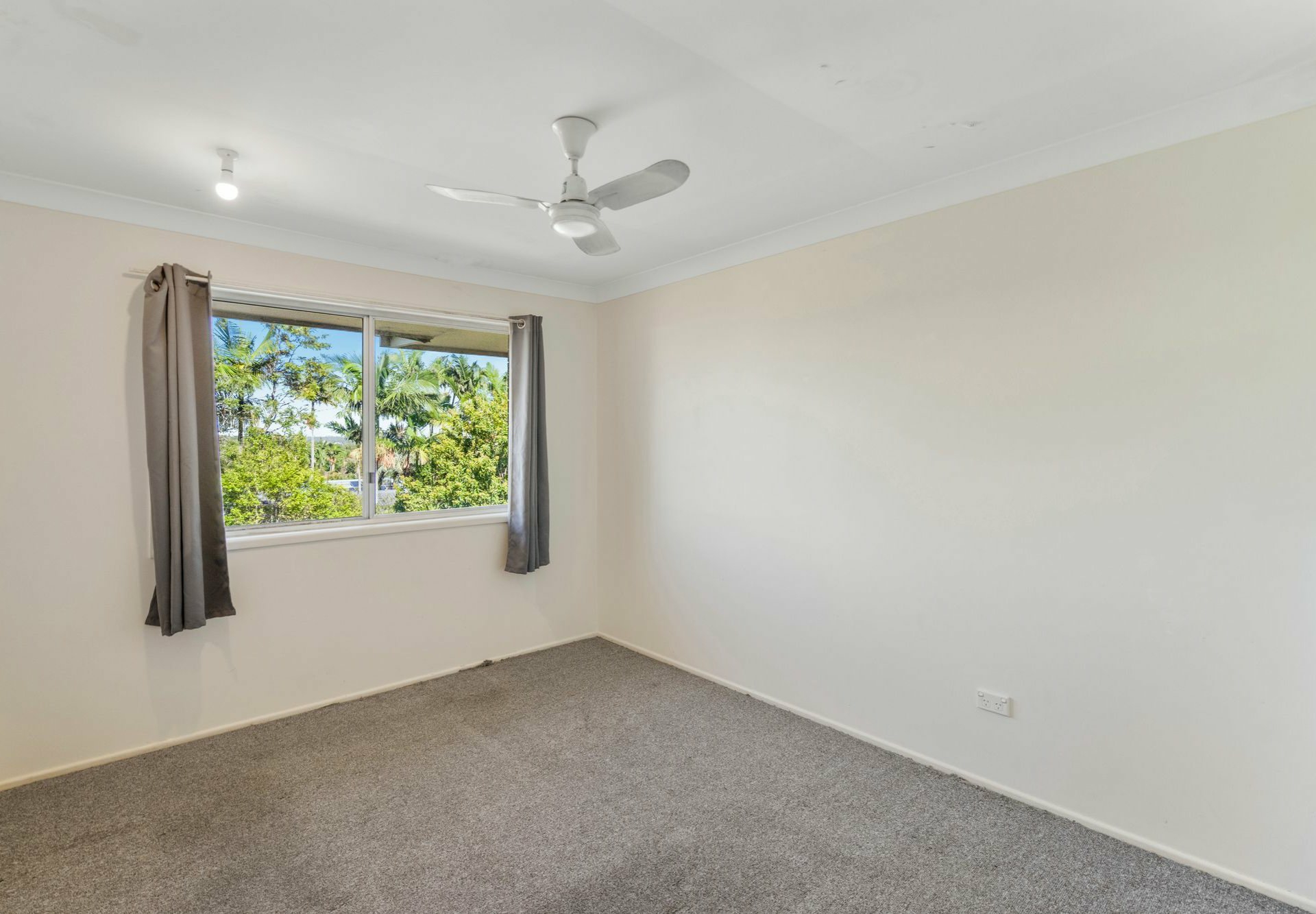 11 Booyong Street, ALGESTER