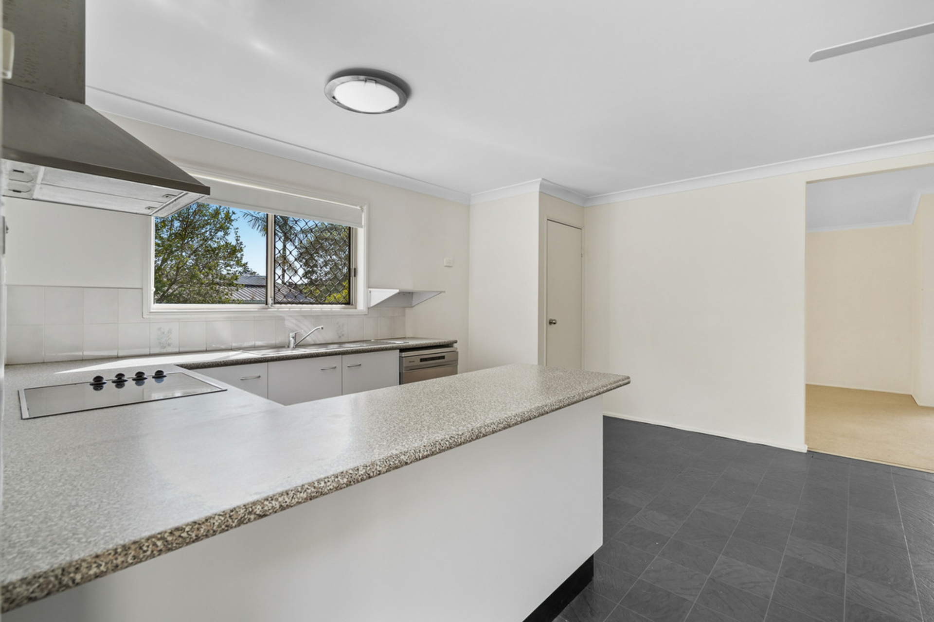 19 Merlin Court — photo 12 of 18