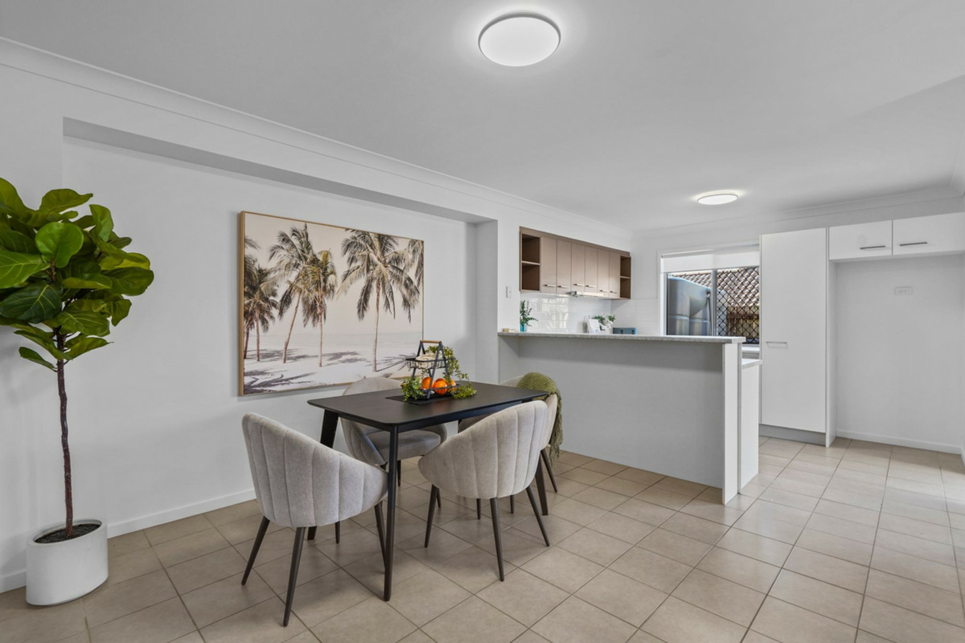 31/53 Perkins Street — photo 6 of 19