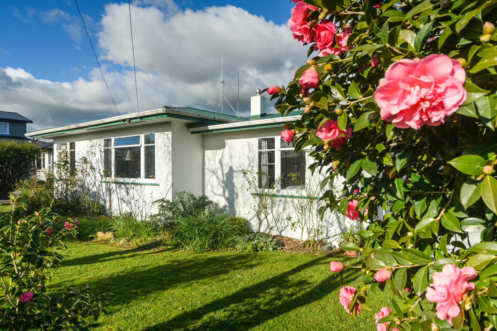 99 North Street, PALMERSTON NORTH
