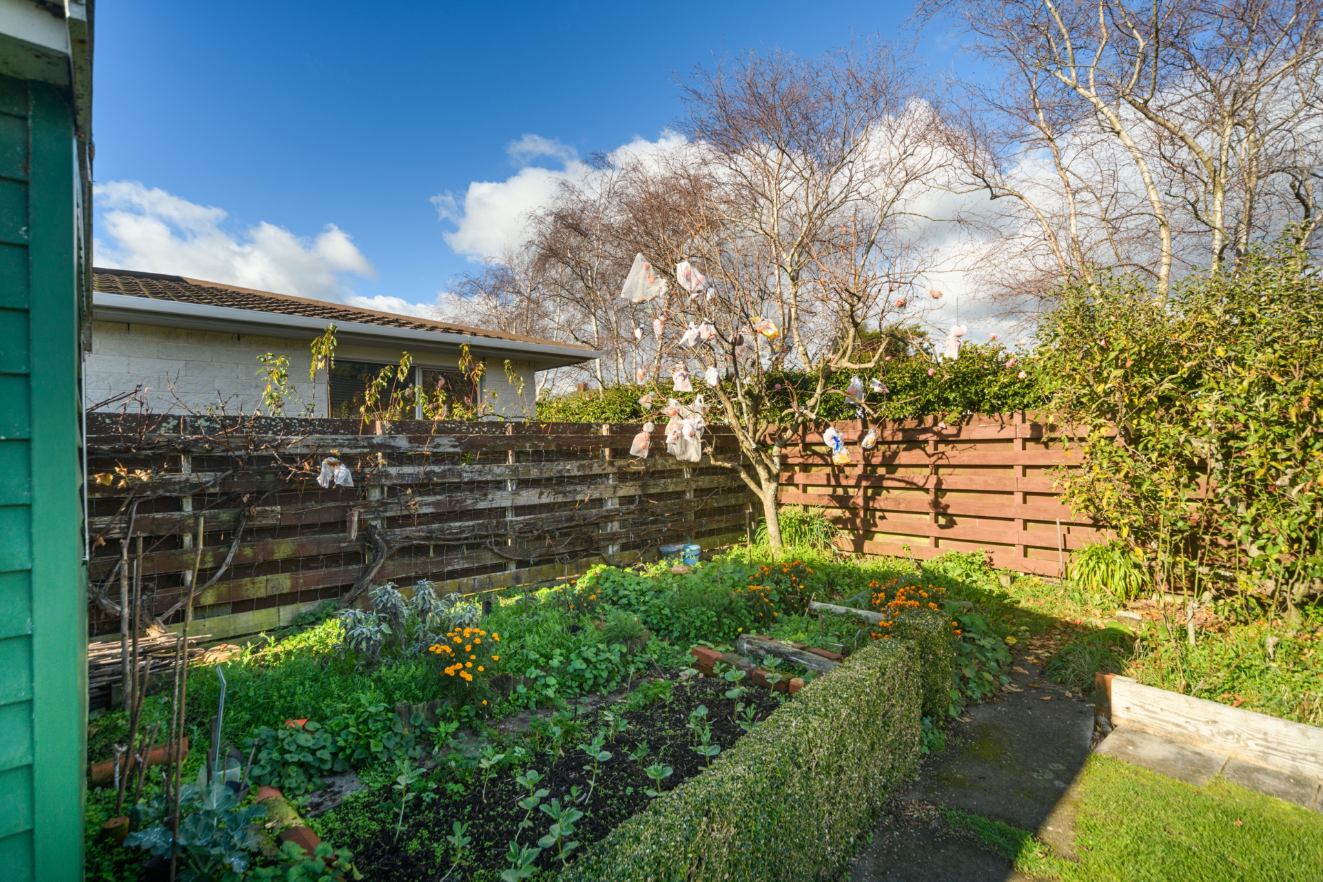 99 North Street, PALMERSTON NORTH