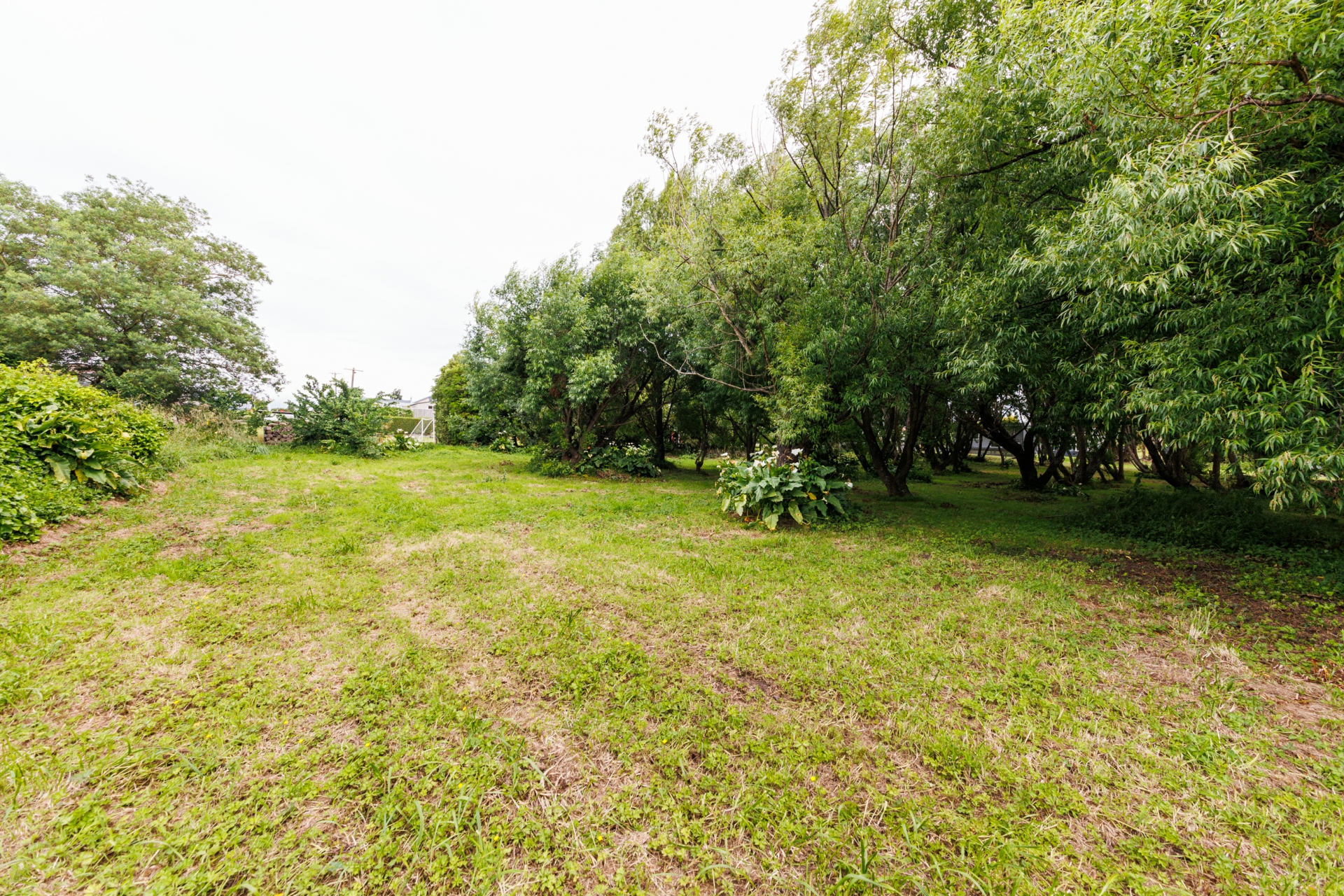 38 Campbell Road, BUNNYTHORPE