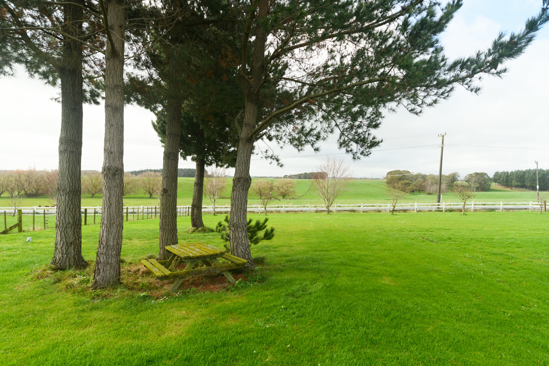 733 Stoney Creek Road, BUNNYTHORPE