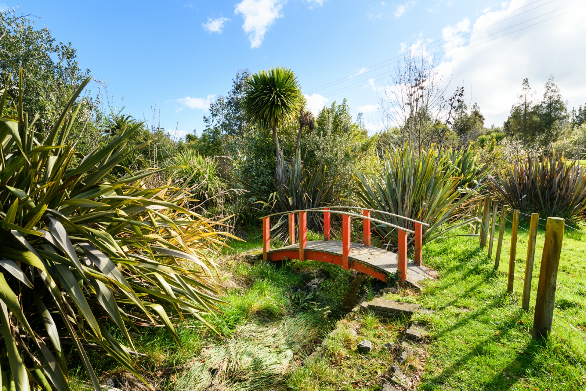49 Parrs Road, BUNNYTHORPE
