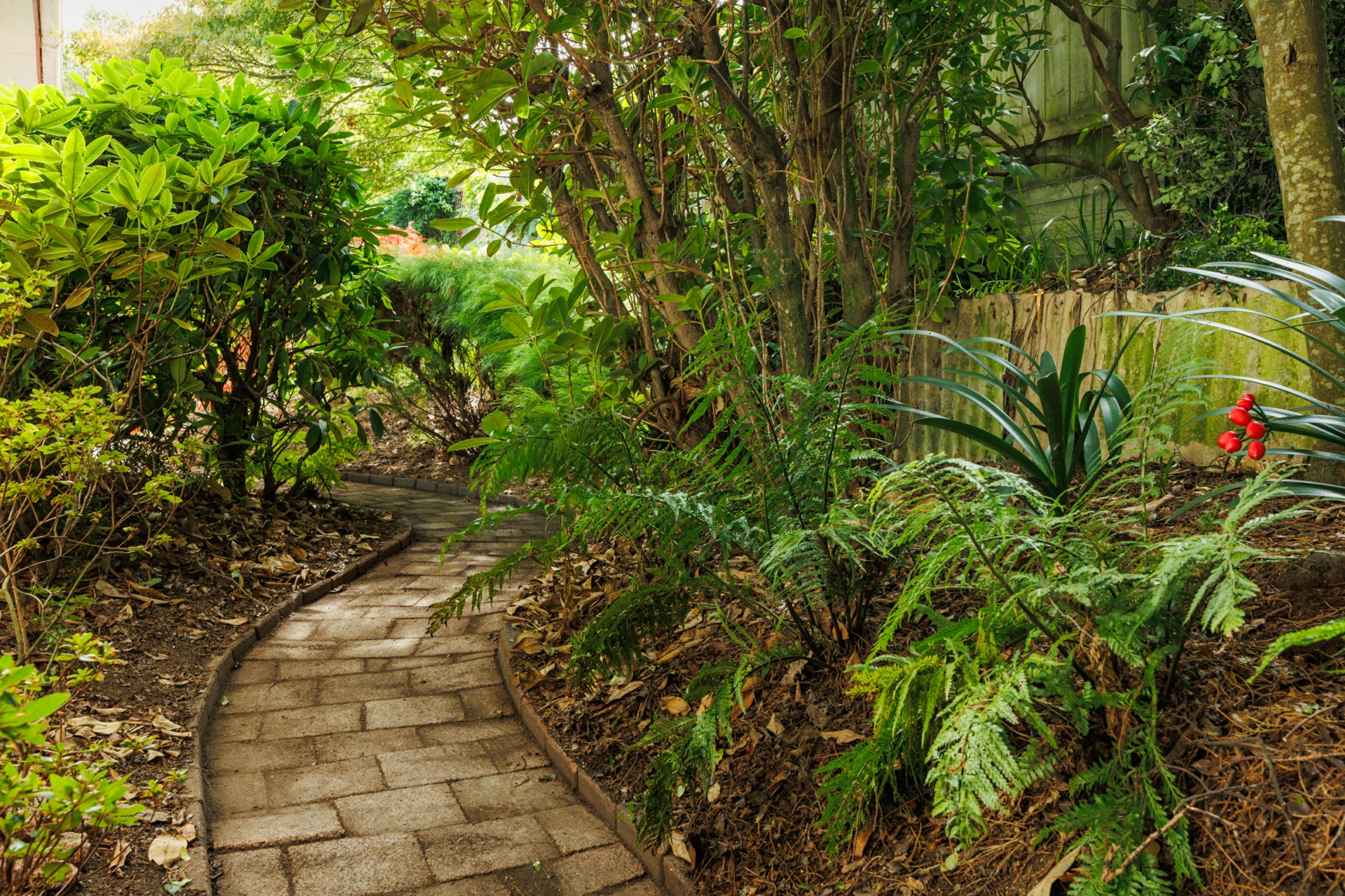 10 Epsom Road, HOKOWHITU