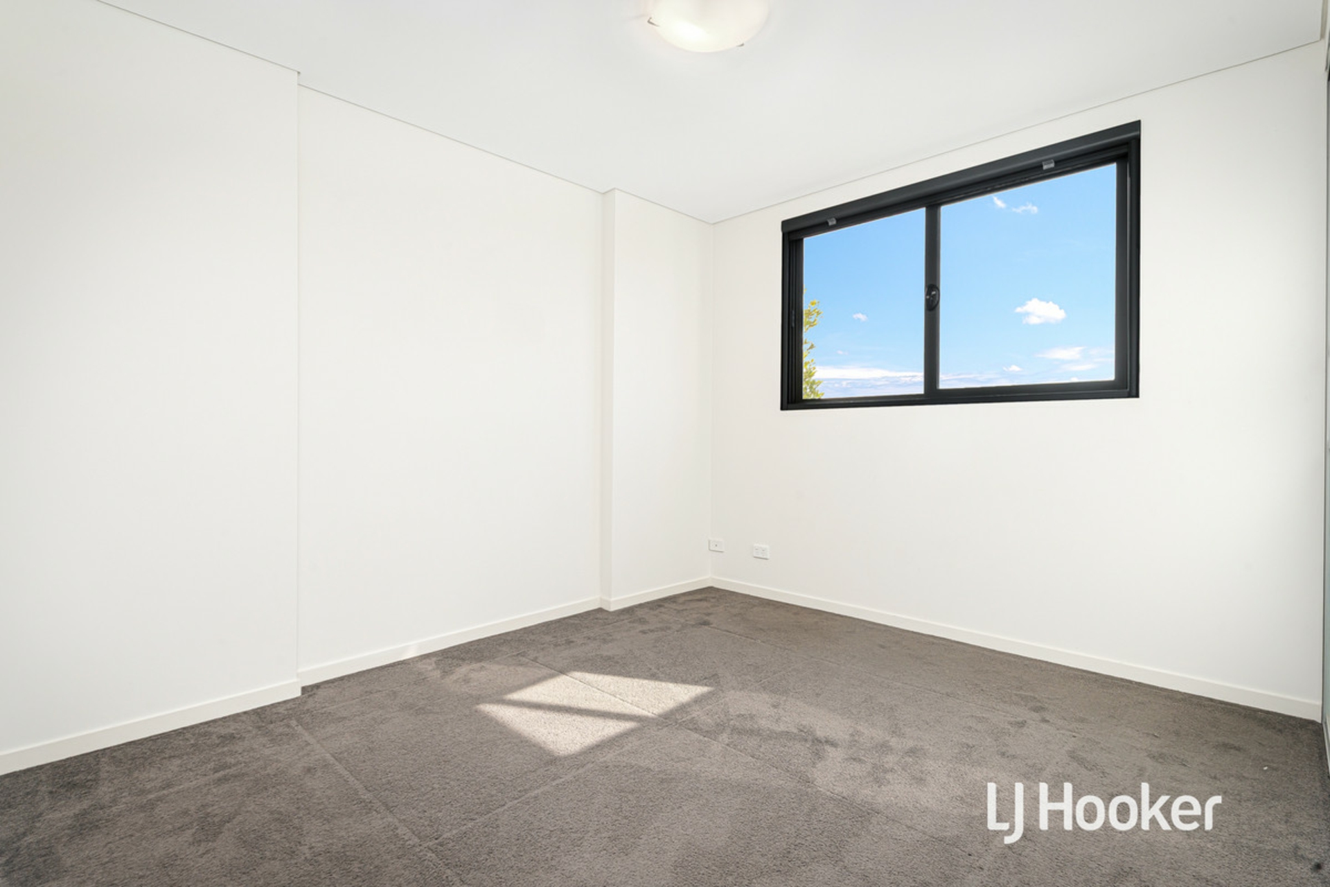 10/6 Bingham Street — photo 3 of 8