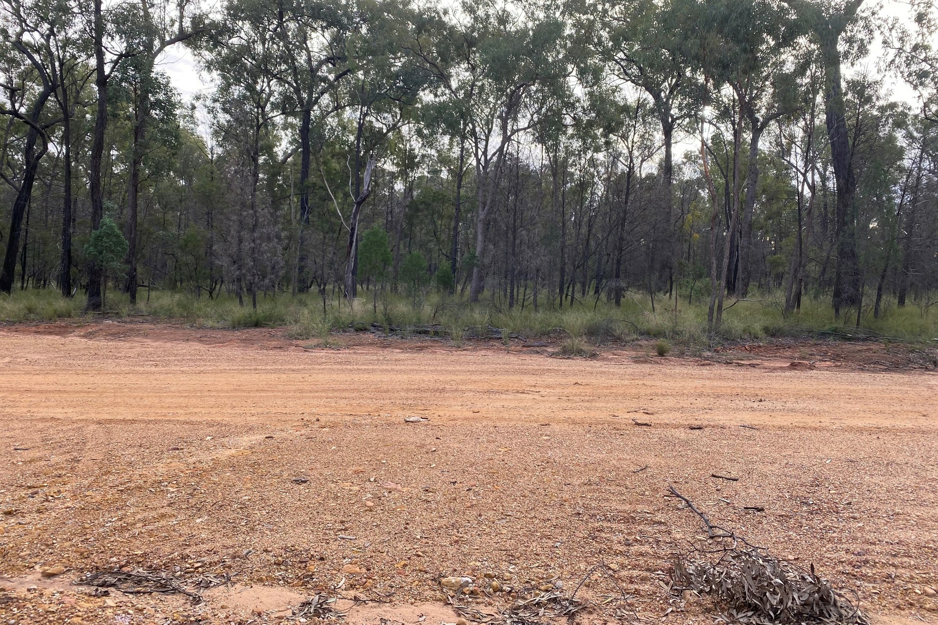 Wattle Ridge 411 Balinga Road Wattle Ridge QLD - Residential for Sale - LJ Hooker