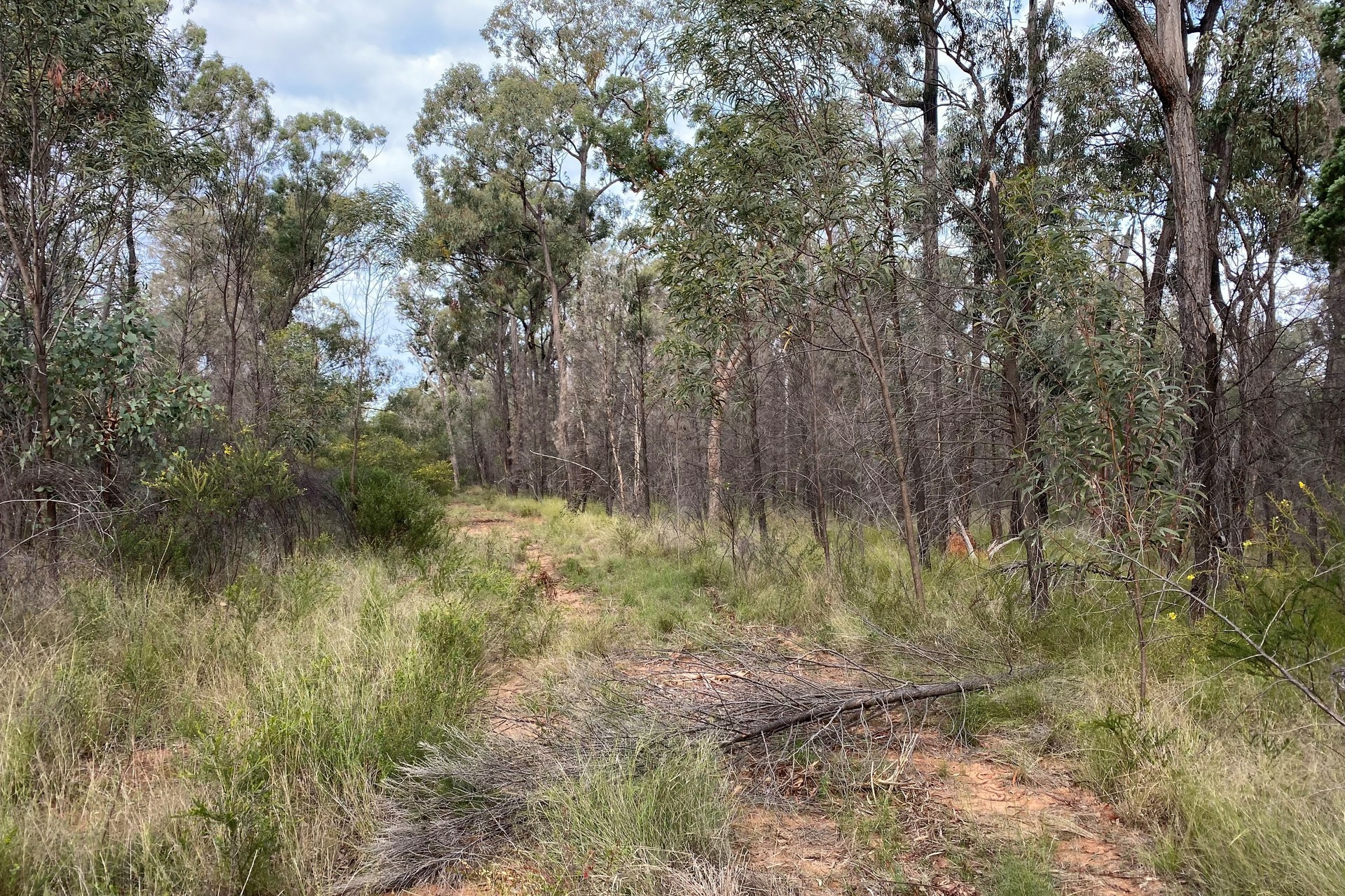 Wattle Ridge 411 Balinga Road Wattle Ridge QLD - Residential for Sale - LJ Hooker