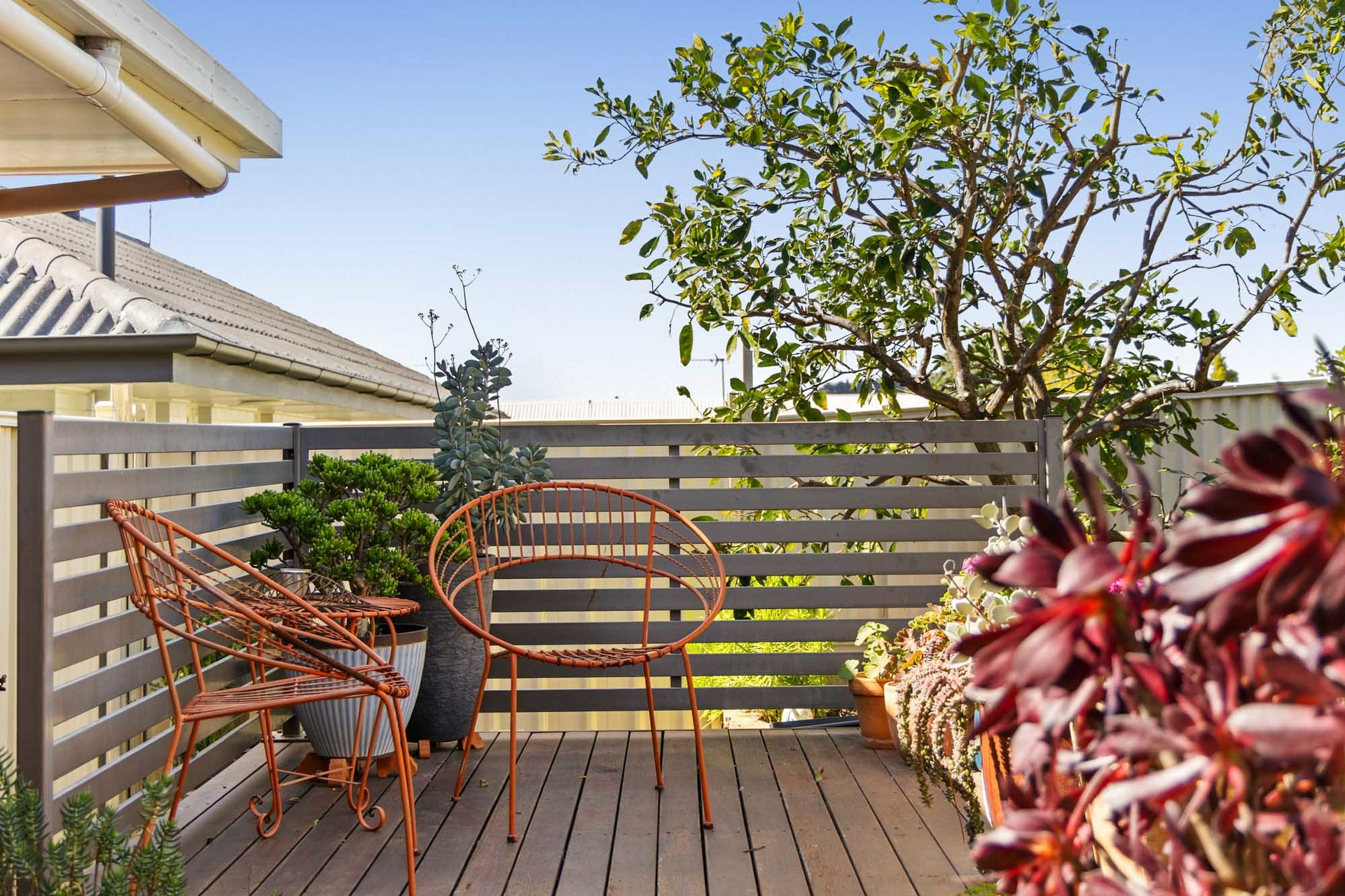 20 Rivett Street — photo 12 of 24