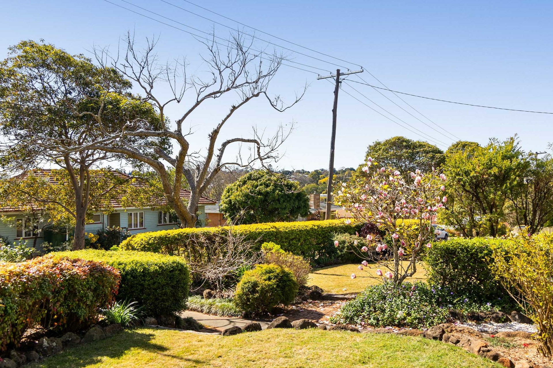 20 Rivett Street — photo 17 of 24