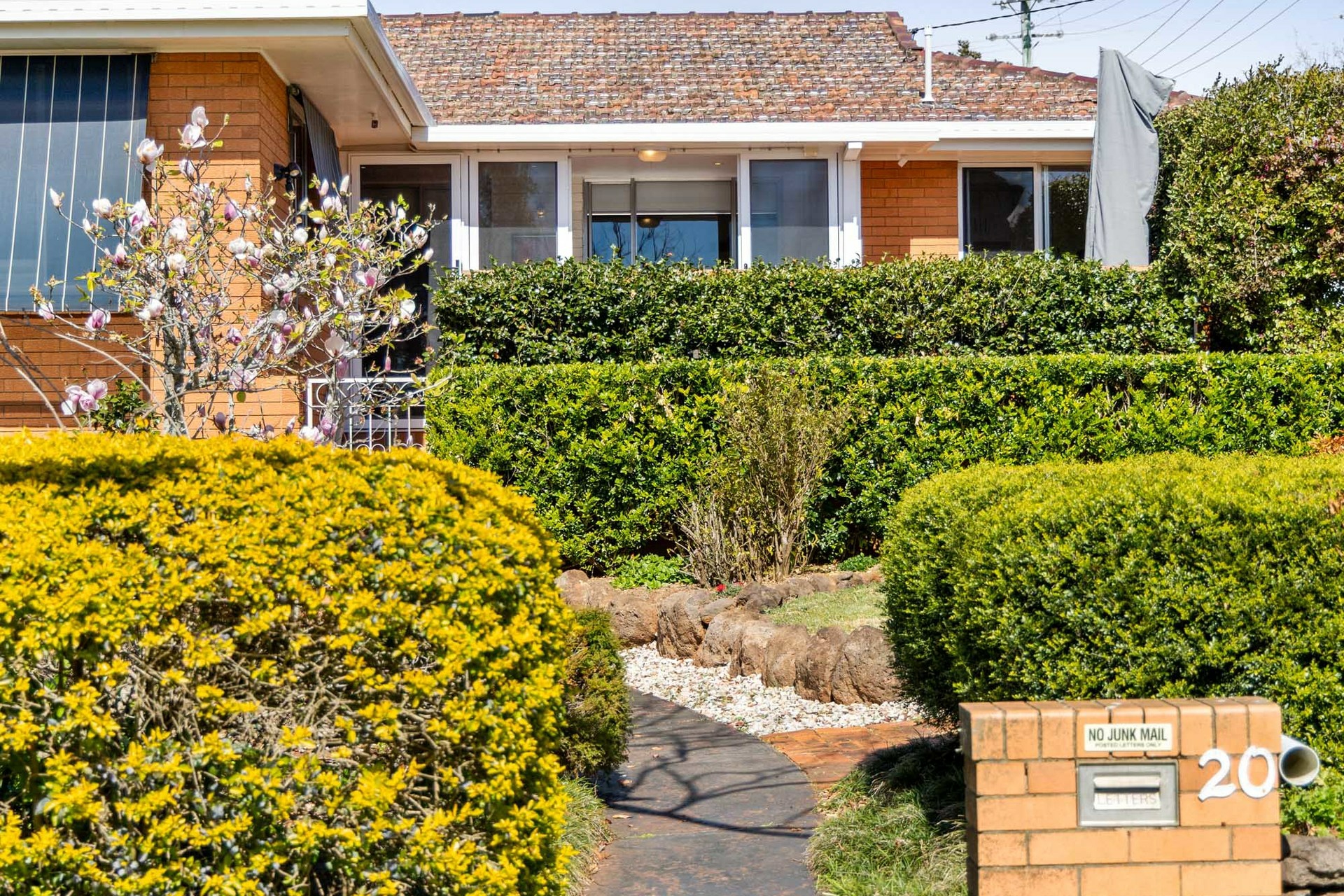 20 Rivett Street — photo 23 of 24