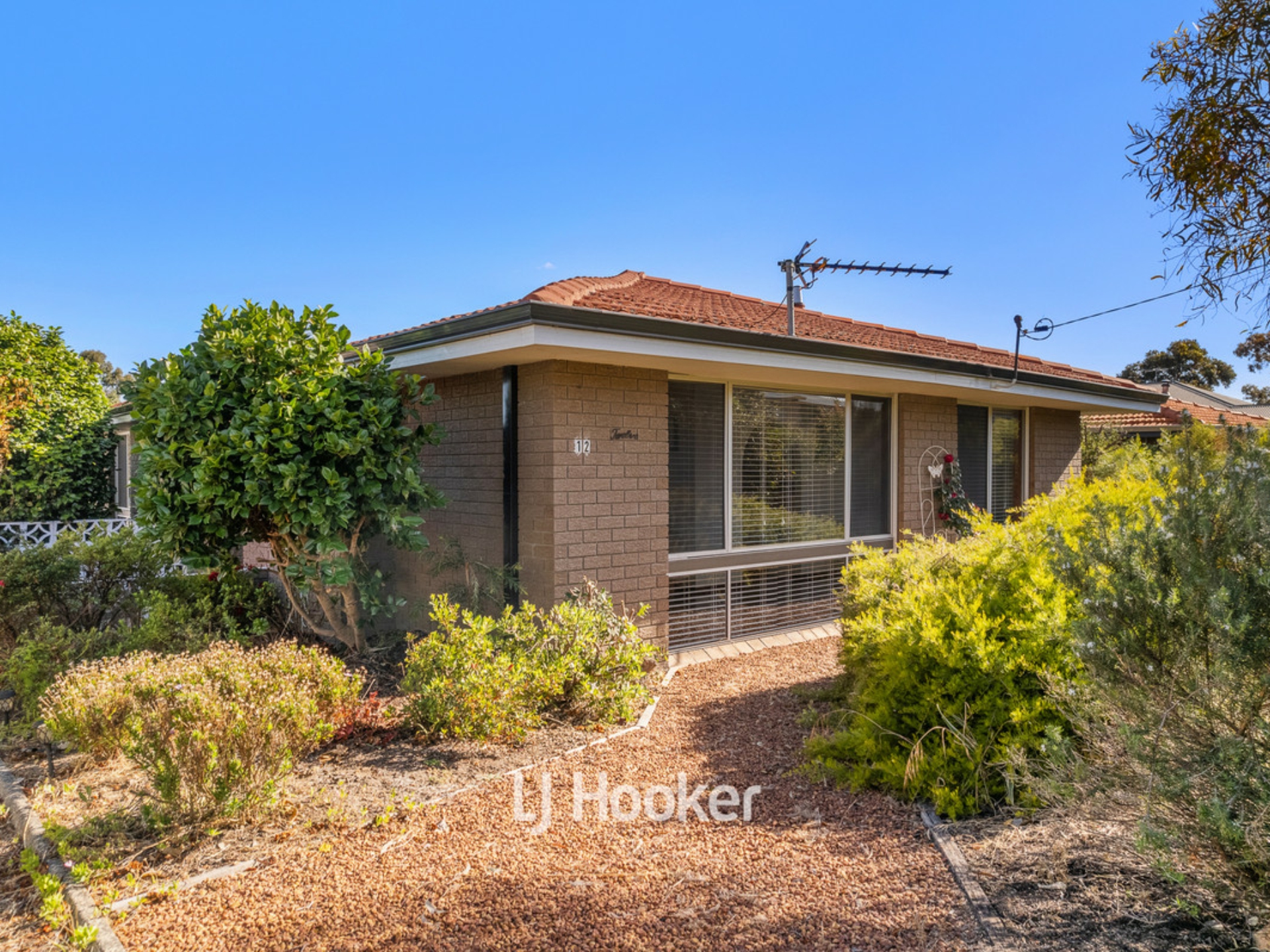 12 Vernon Street, Collie