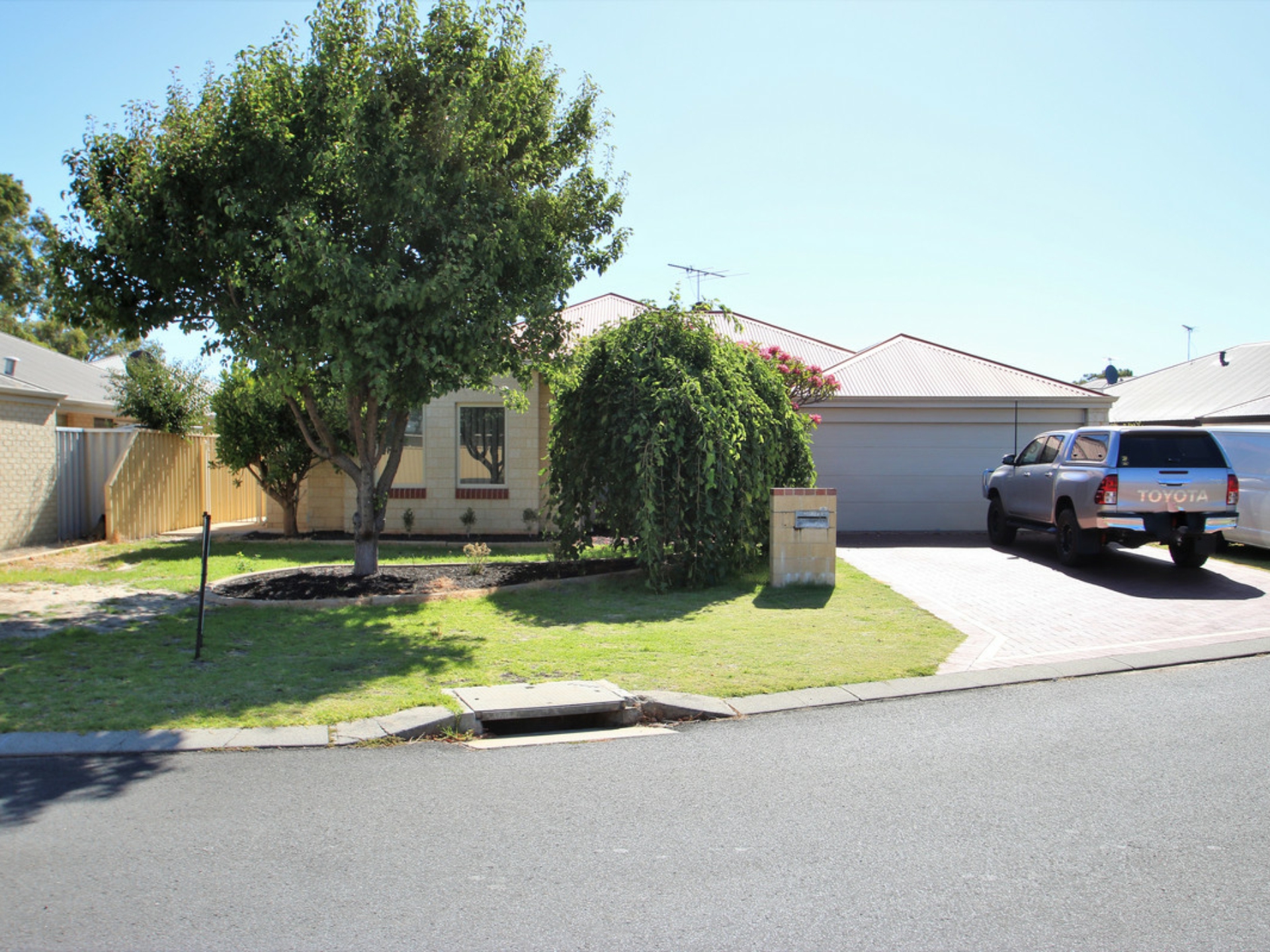 3 Euro Brace, Australind