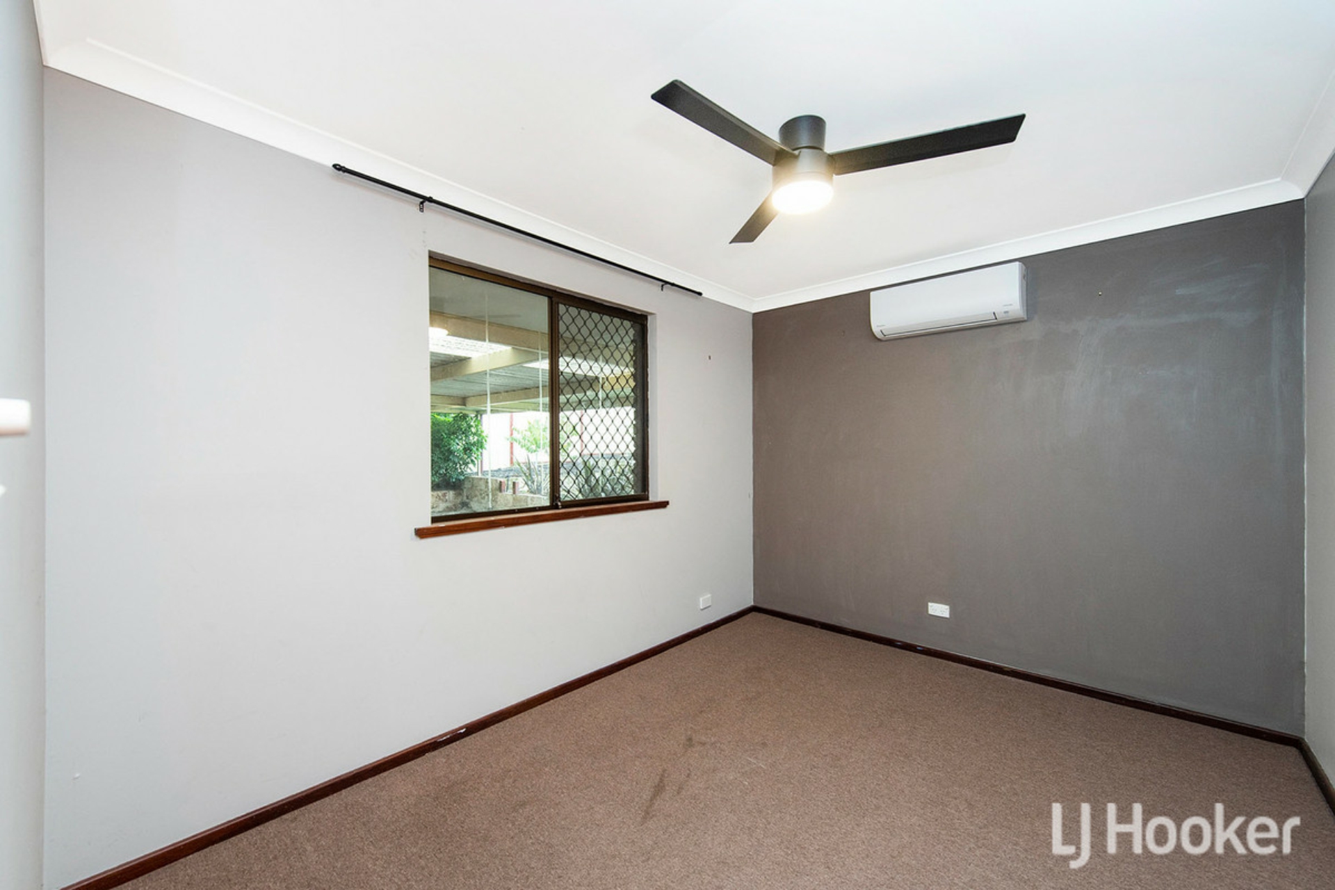 26 Saunders Street, COLLIE