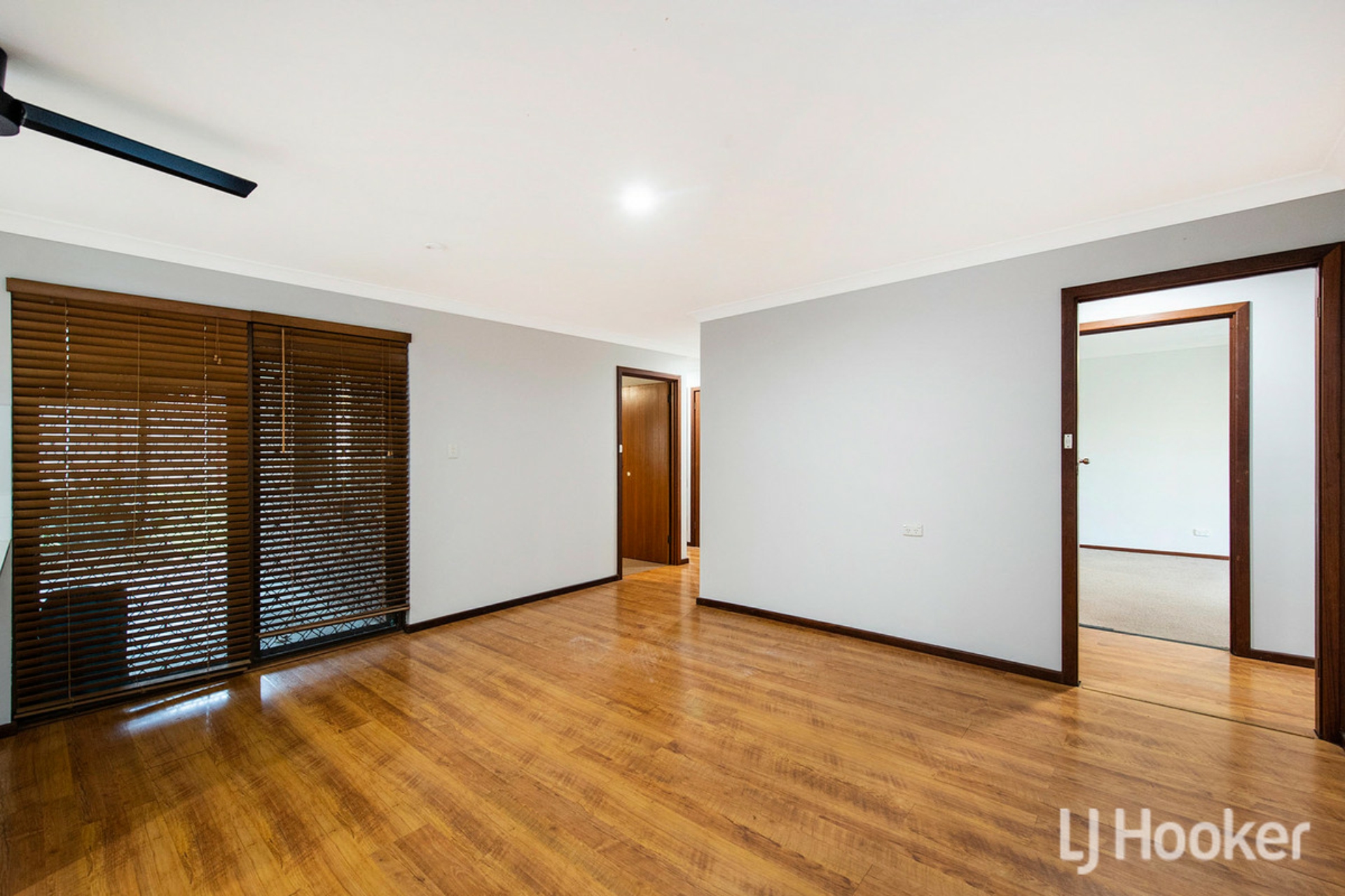26 Saunders Street, COLLIE