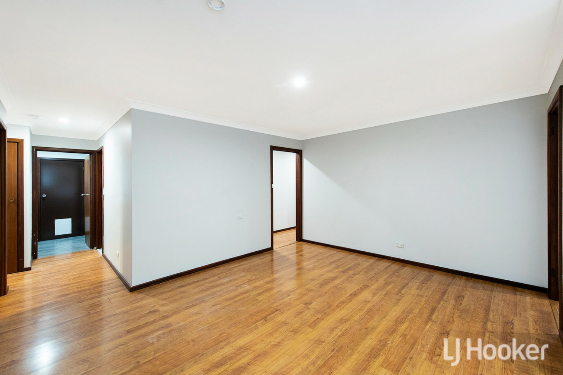 26 Saunders Street, COLLIE