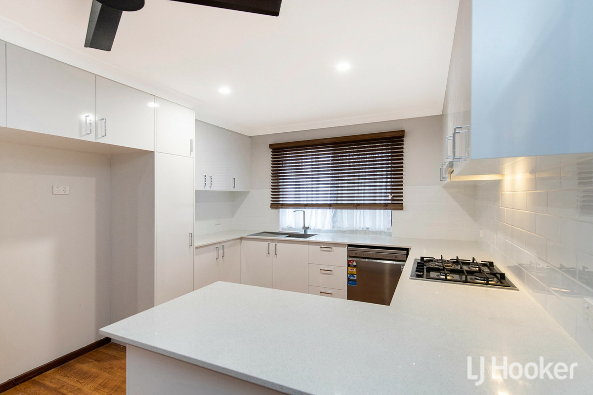 26 Saunders Street, COLLIE