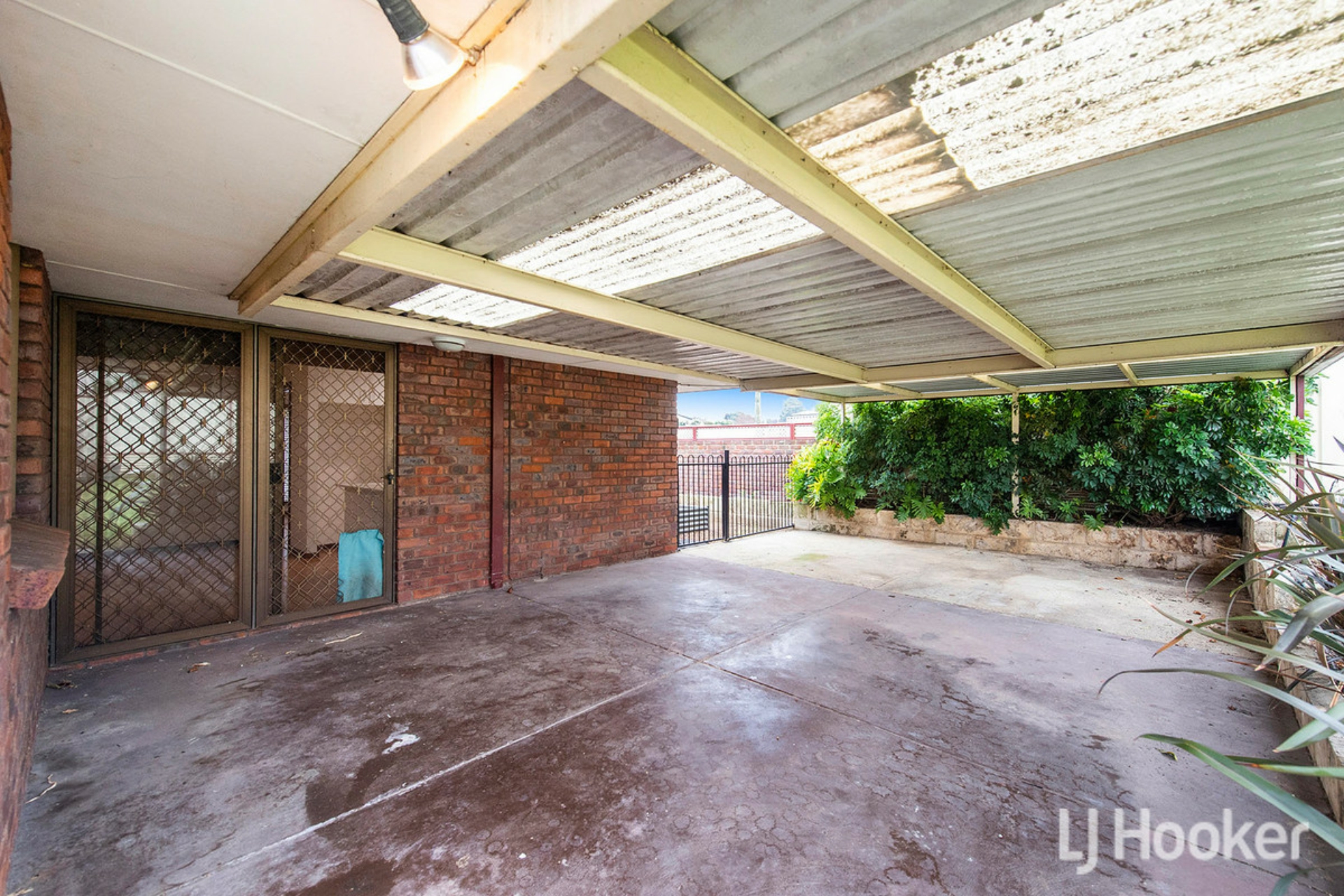 26 Saunders Street, COLLIE