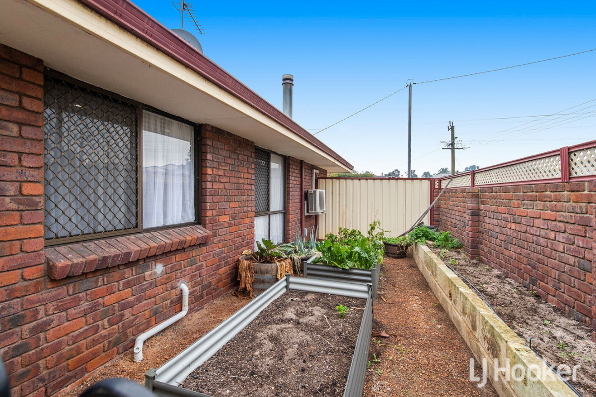 26 Saunders Street, COLLIE