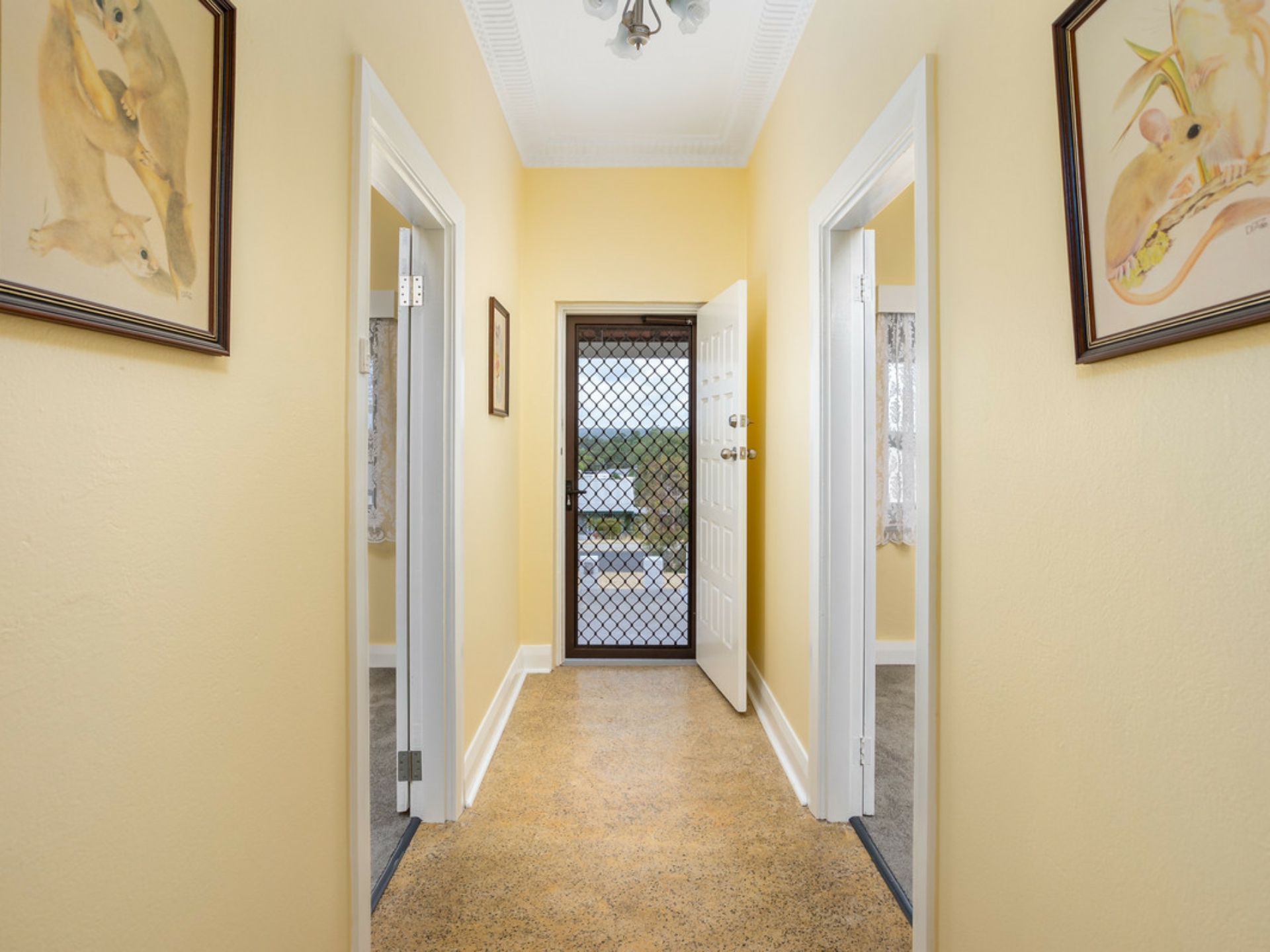 46 Clifton Street, COLLIE