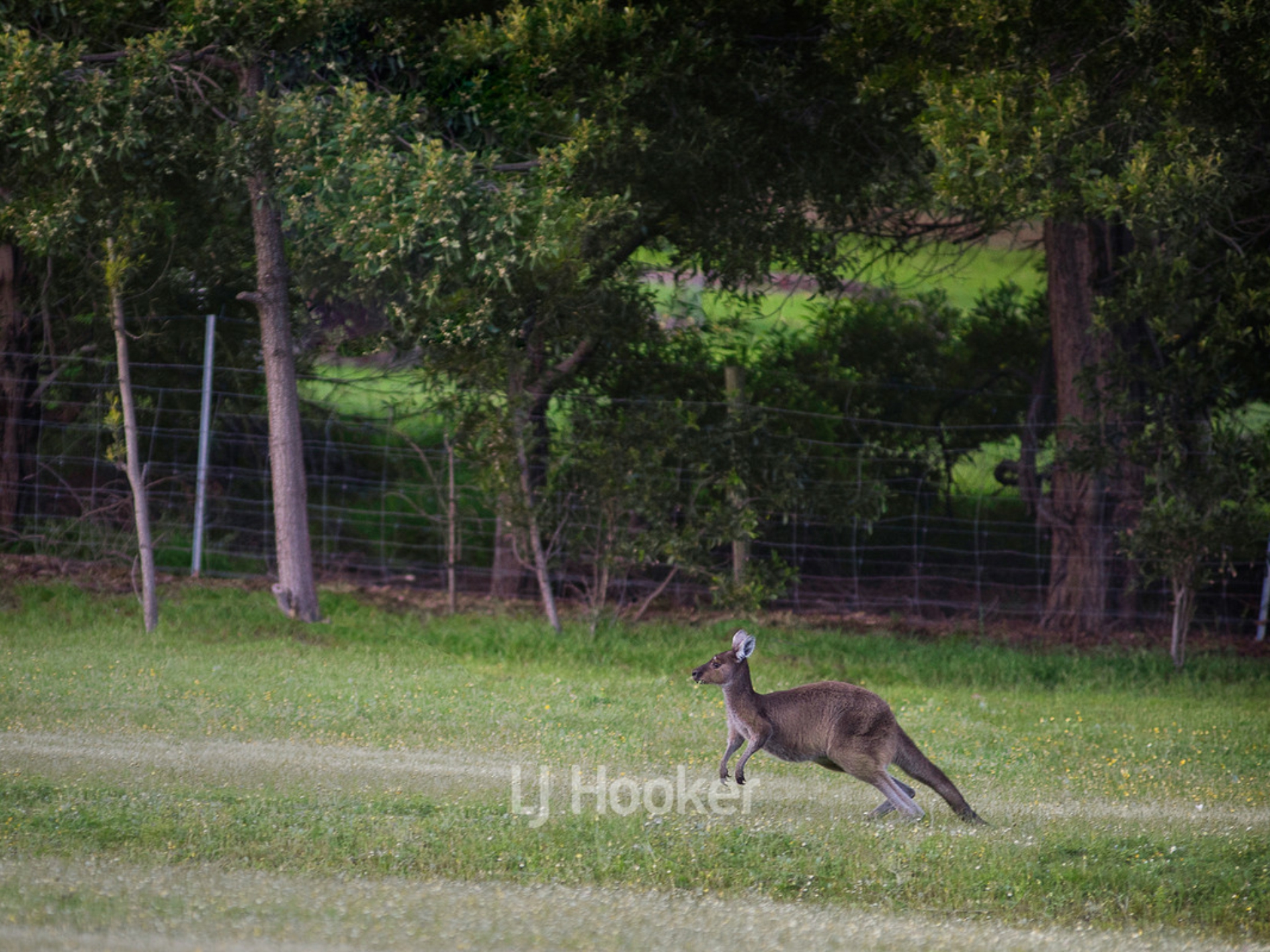 109 Summerville Crescent, YALLINGUP SIDING