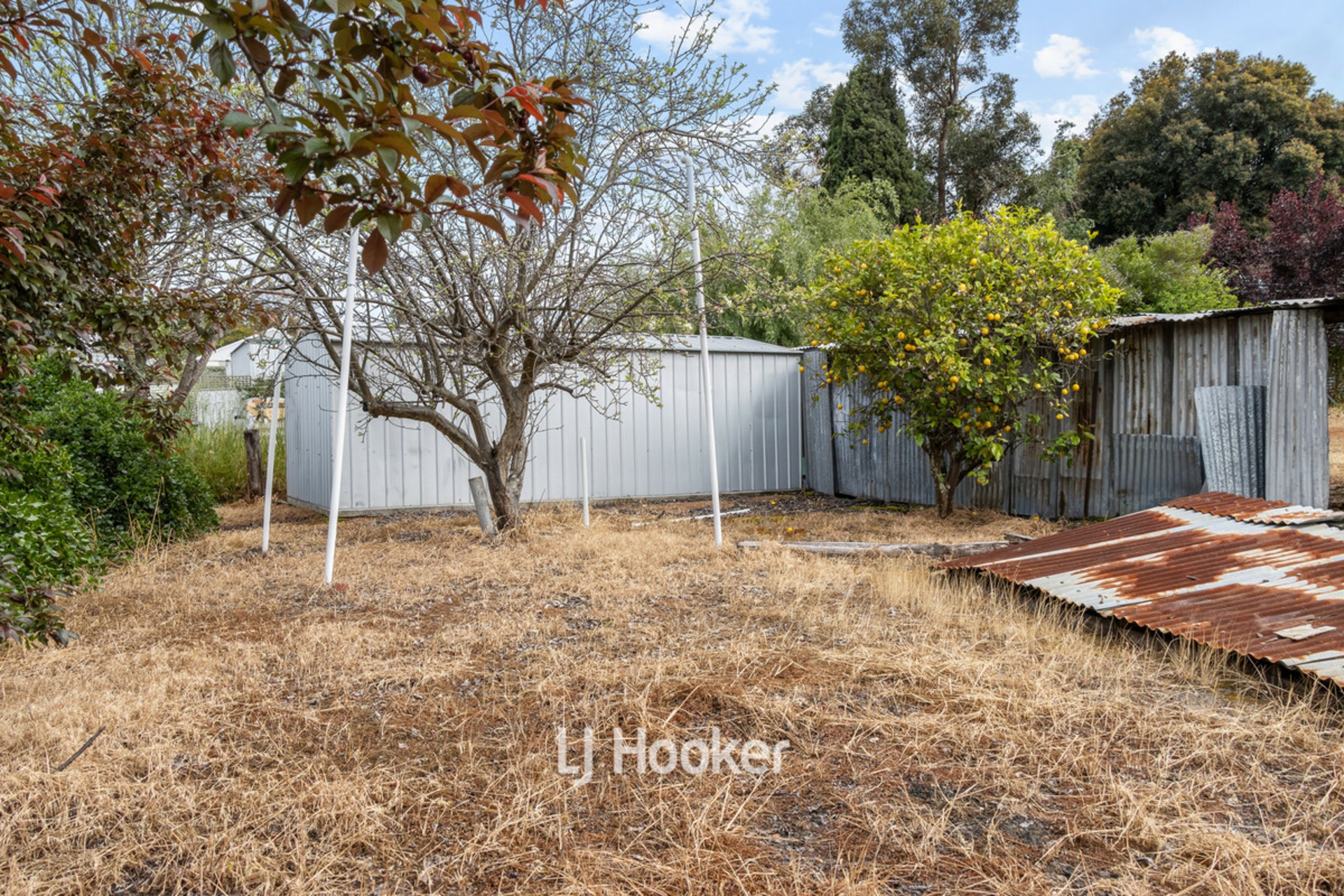91 Deakin Street Collie WA House for Sale LJ Hooker