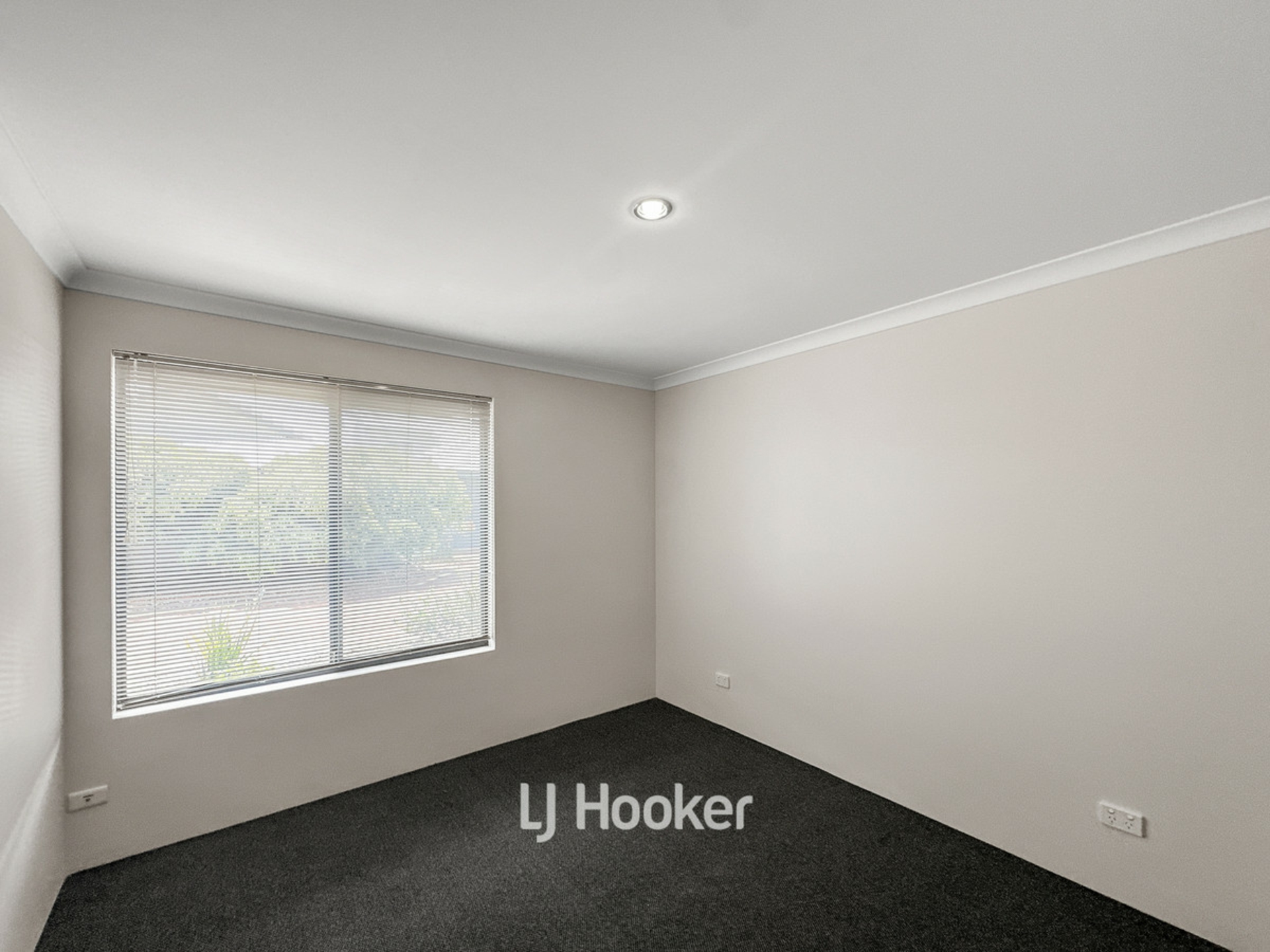 2/3 Wilson Street, CAREY PARK