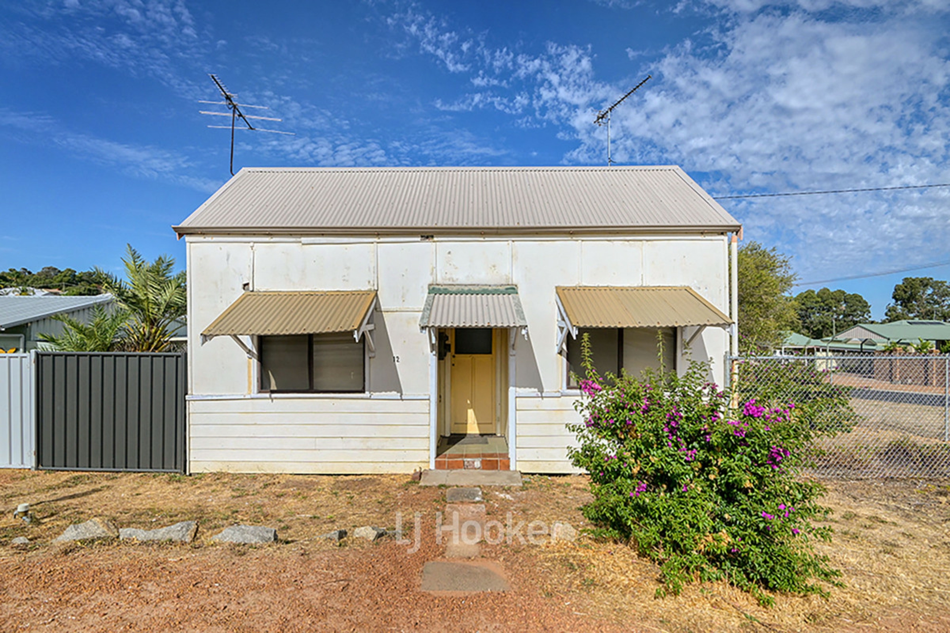 12 Saunders Street, COLLIE