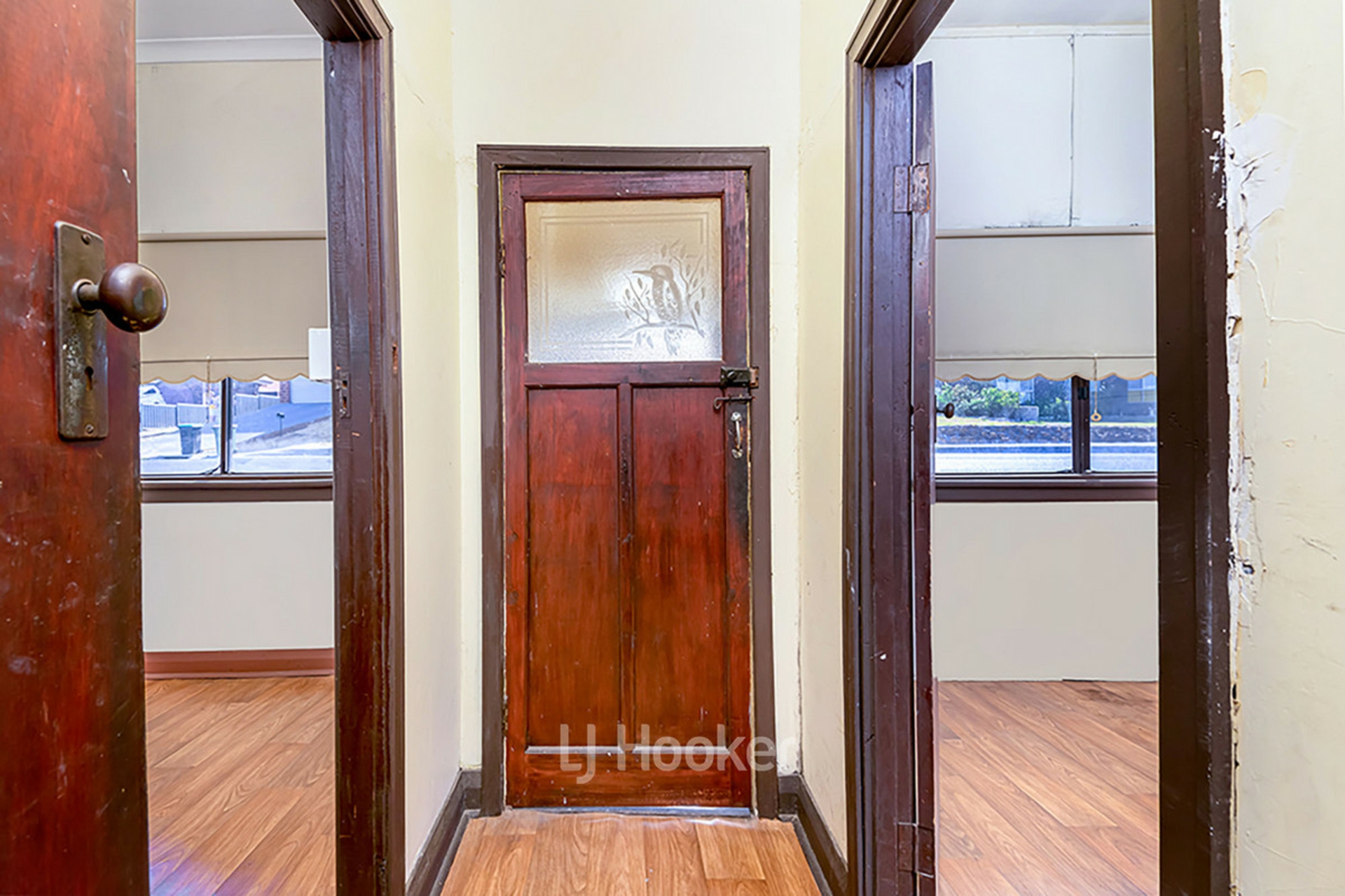 12 Saunders Street, COLLIE