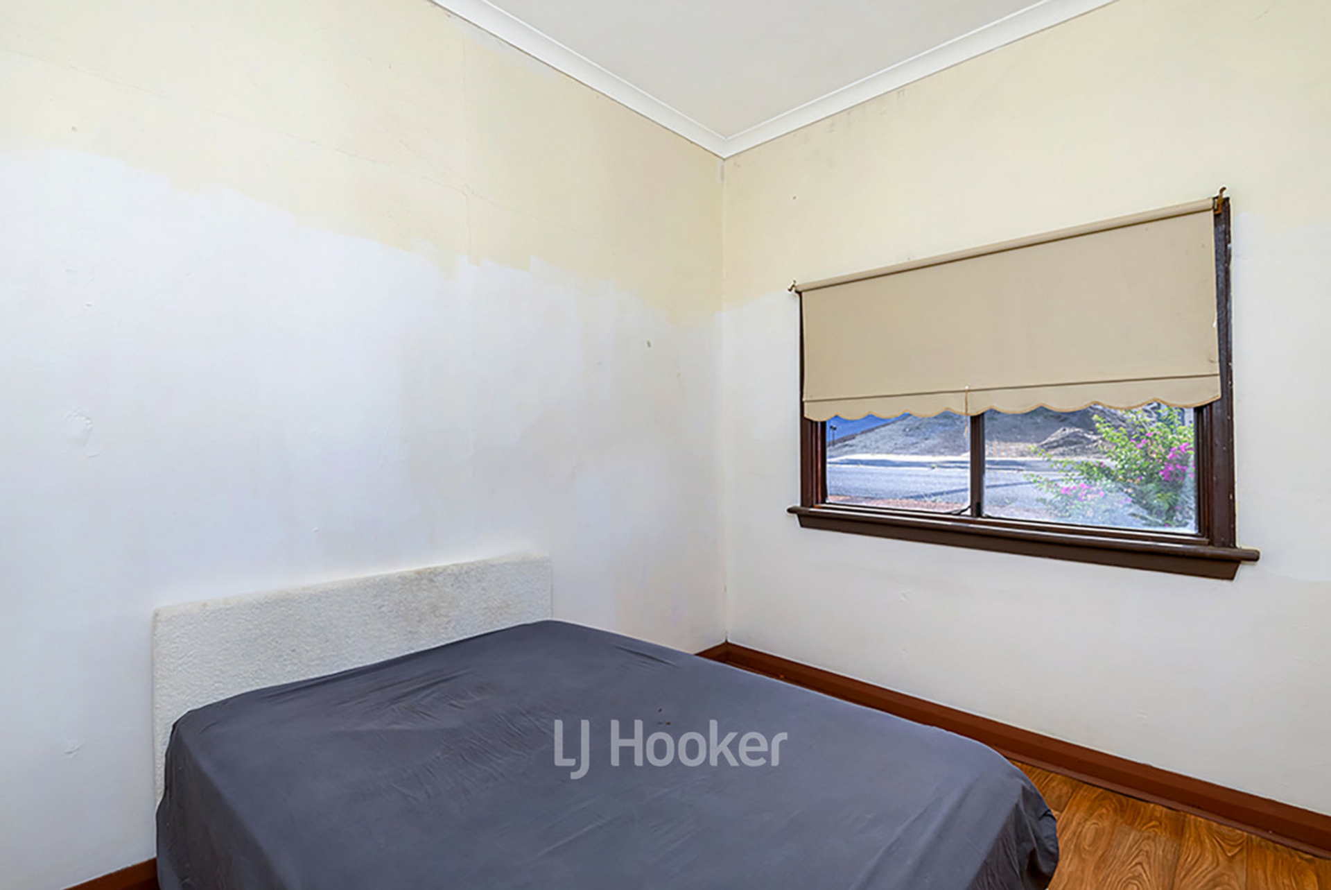 12 Saunders Street, COLLIE