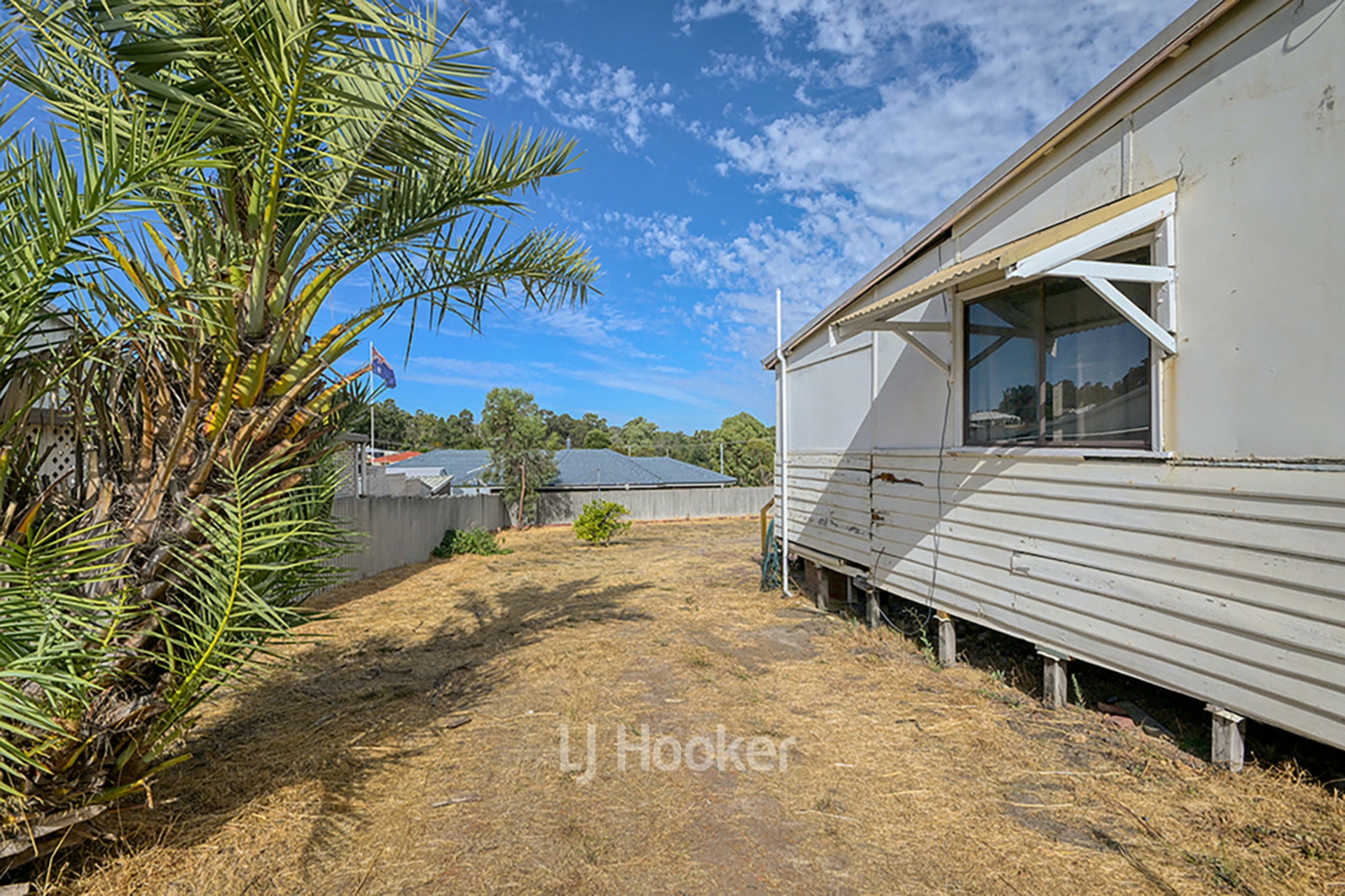 12 Saunders Street, COLLIE