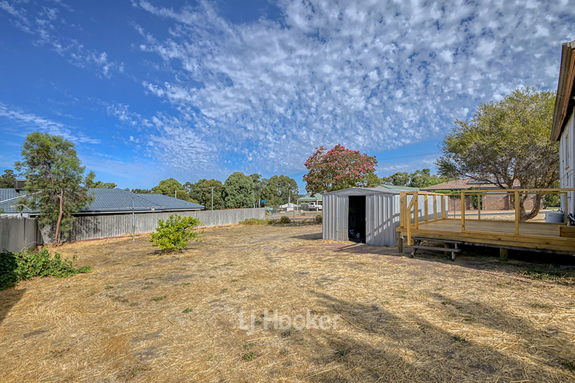 12 Saunders Street, COLLIE