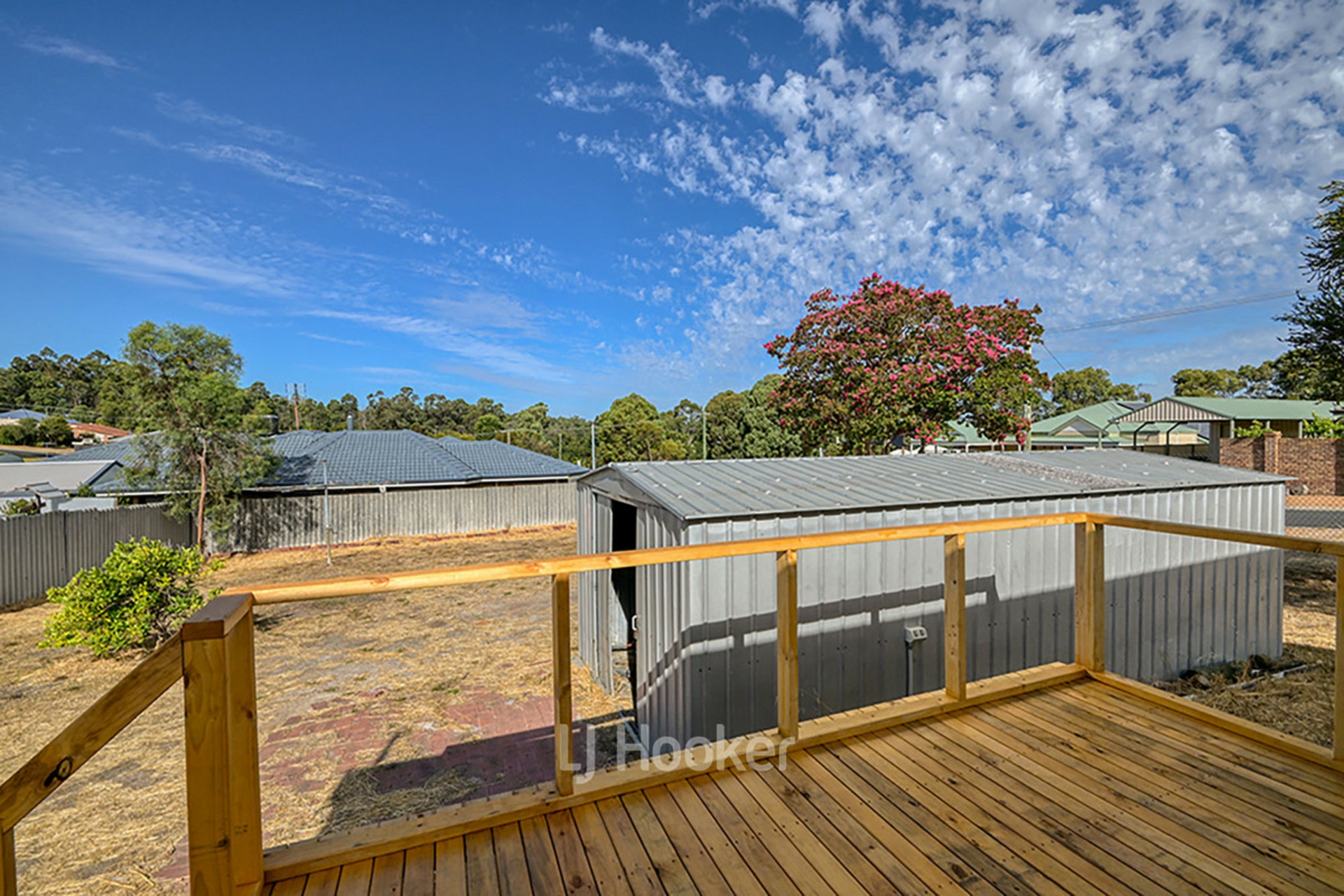 12 Saunders Street, COLLIE