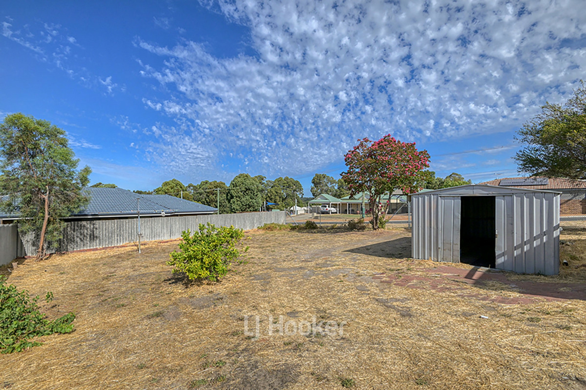 12 Saunders Street, COLLIE
