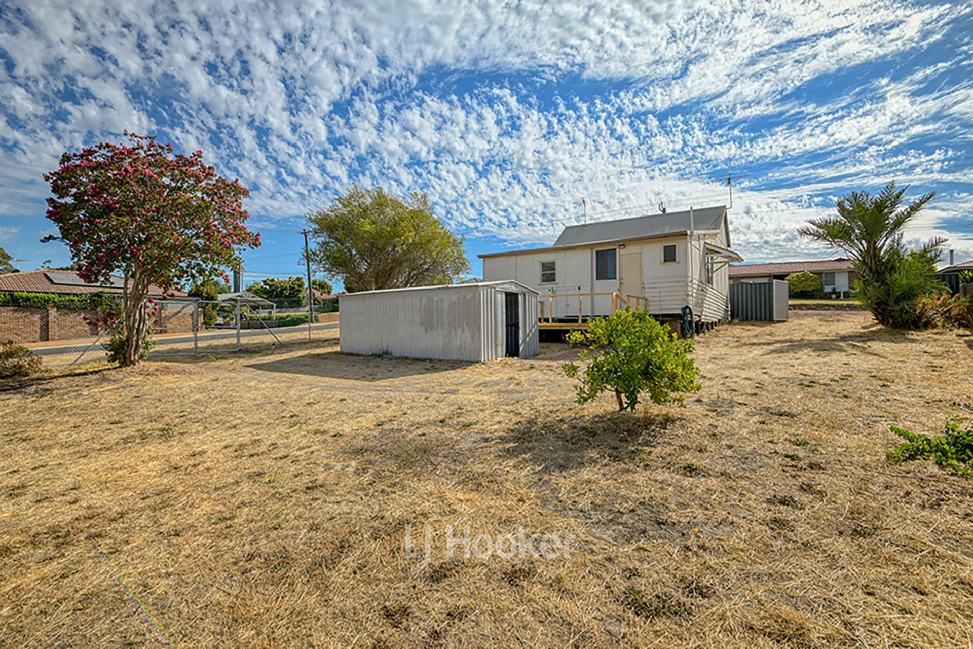 12 Saunders Street, COLLIE