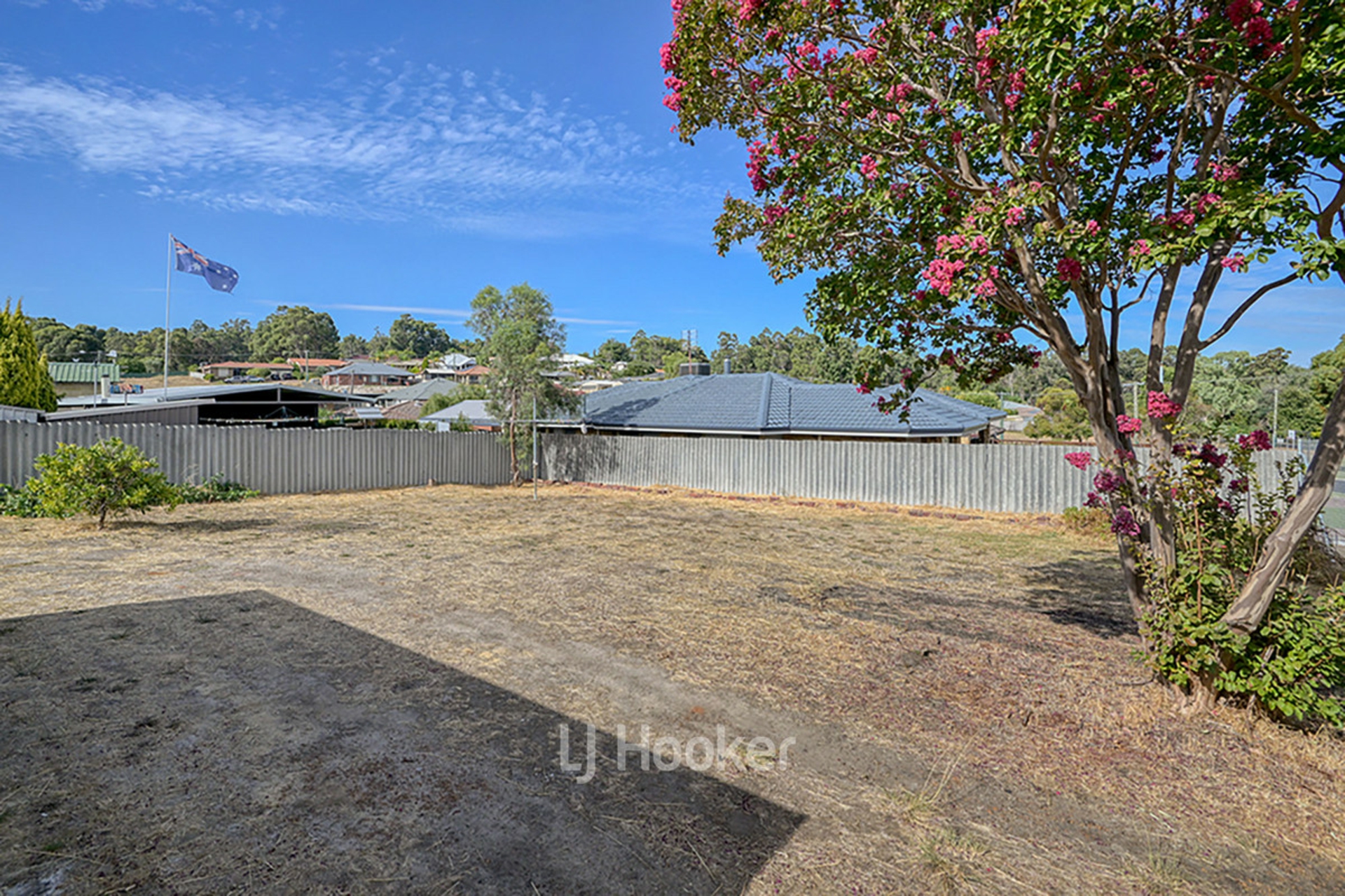 12 Saunders Street, COLLIE