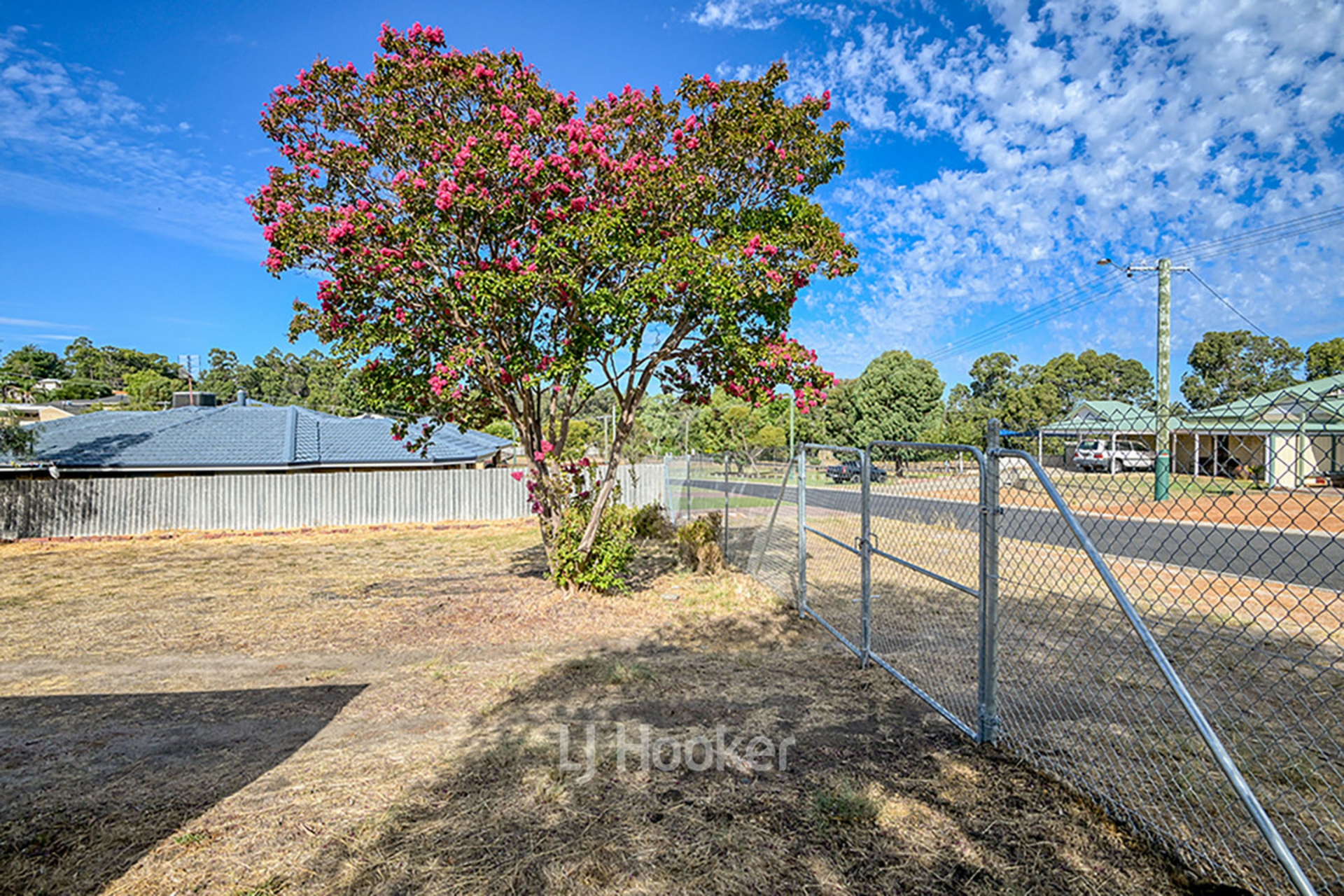 12 Saunders Street, COLLIE