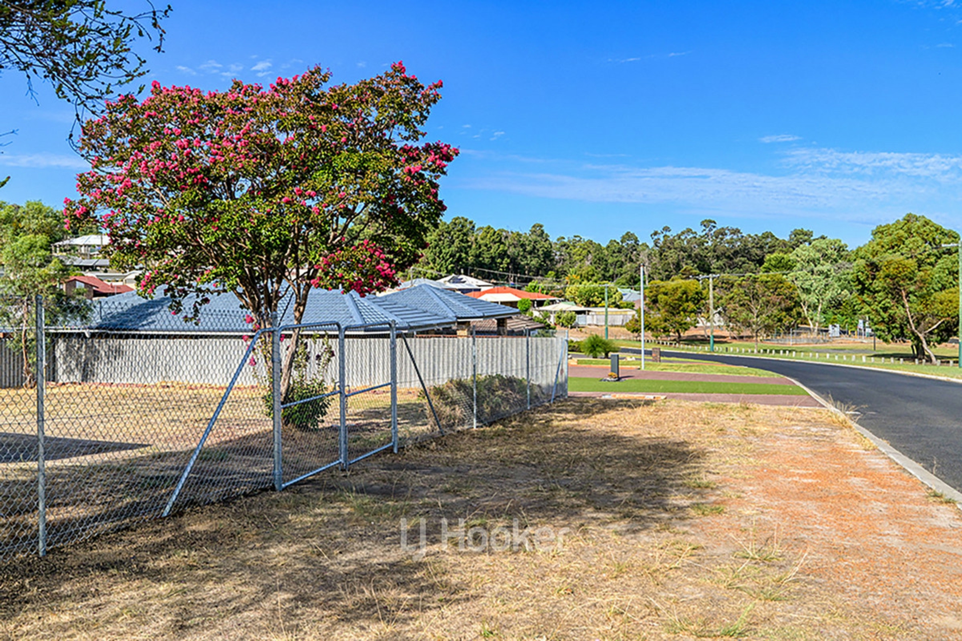 12 Saunders Street, COLLIE