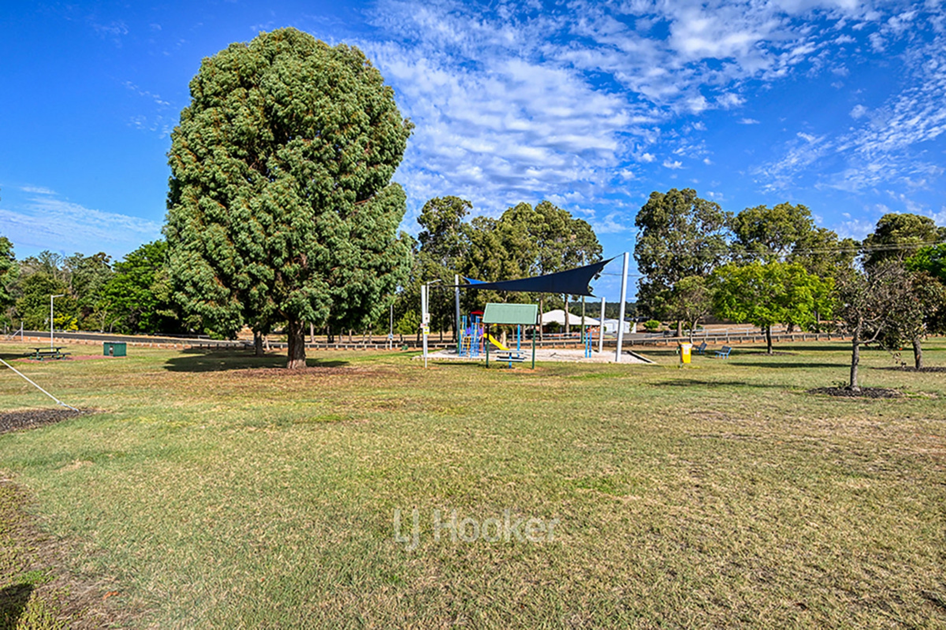 12 Saunders Street, COLLIE