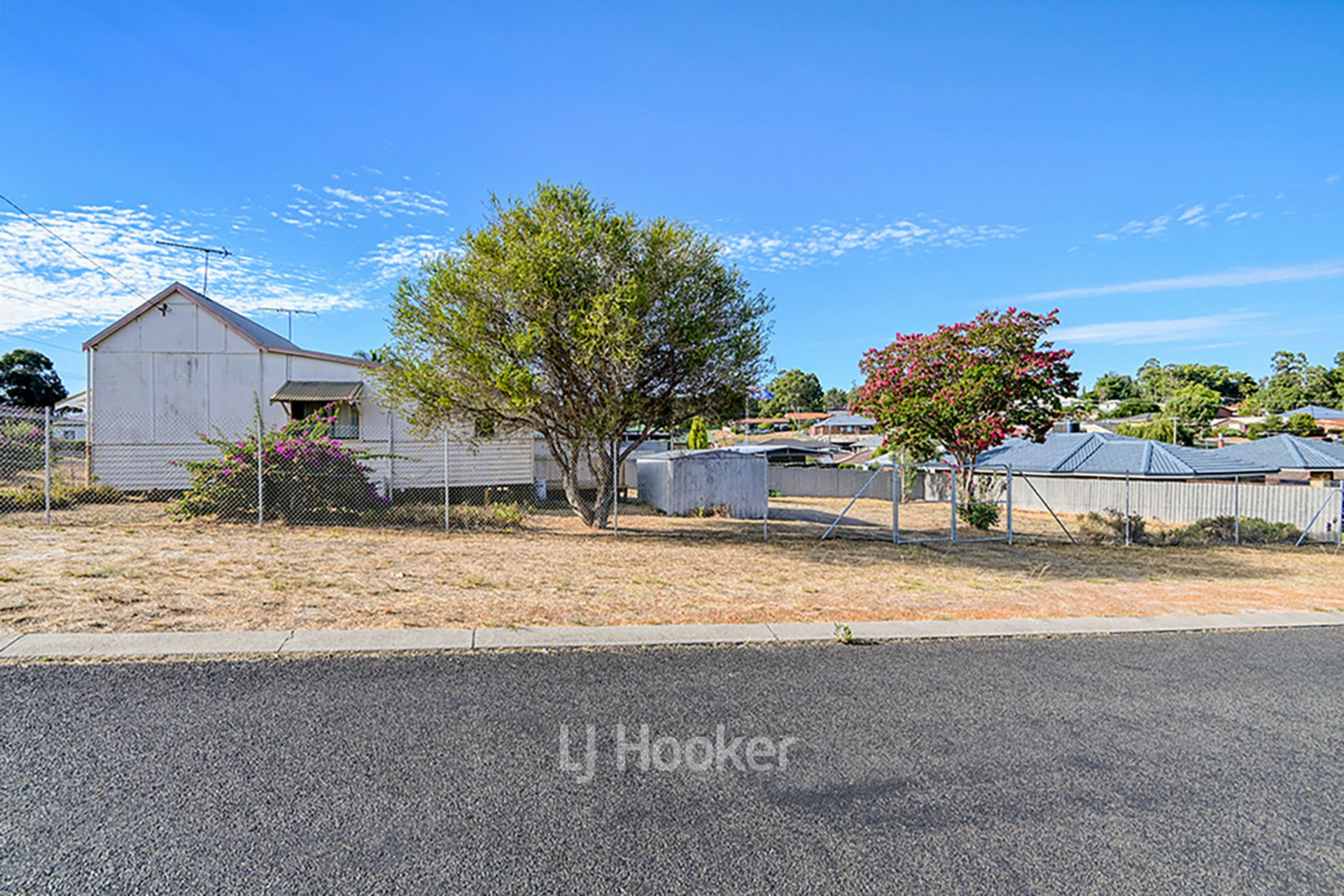 12 Saunders Street, COLLIE
