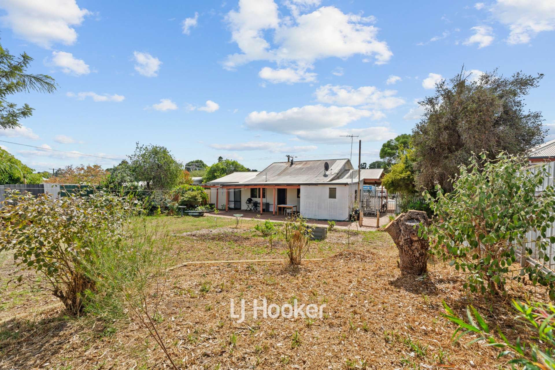 35 Coombes Street, COLLIE