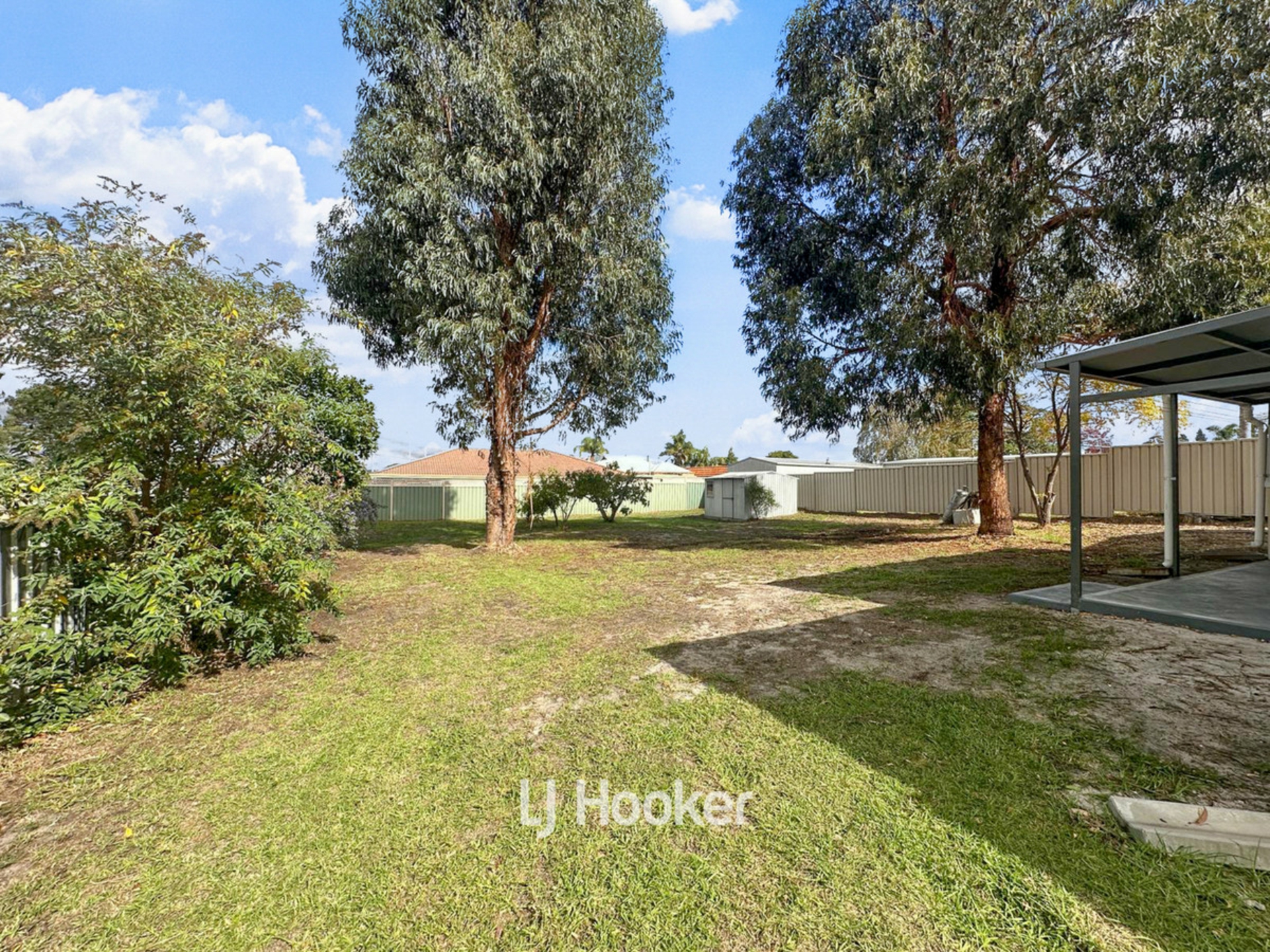 25 Jones Street, COLLIE