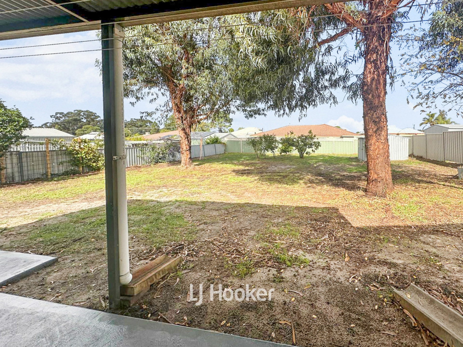 25 Jones Street, COLLIE