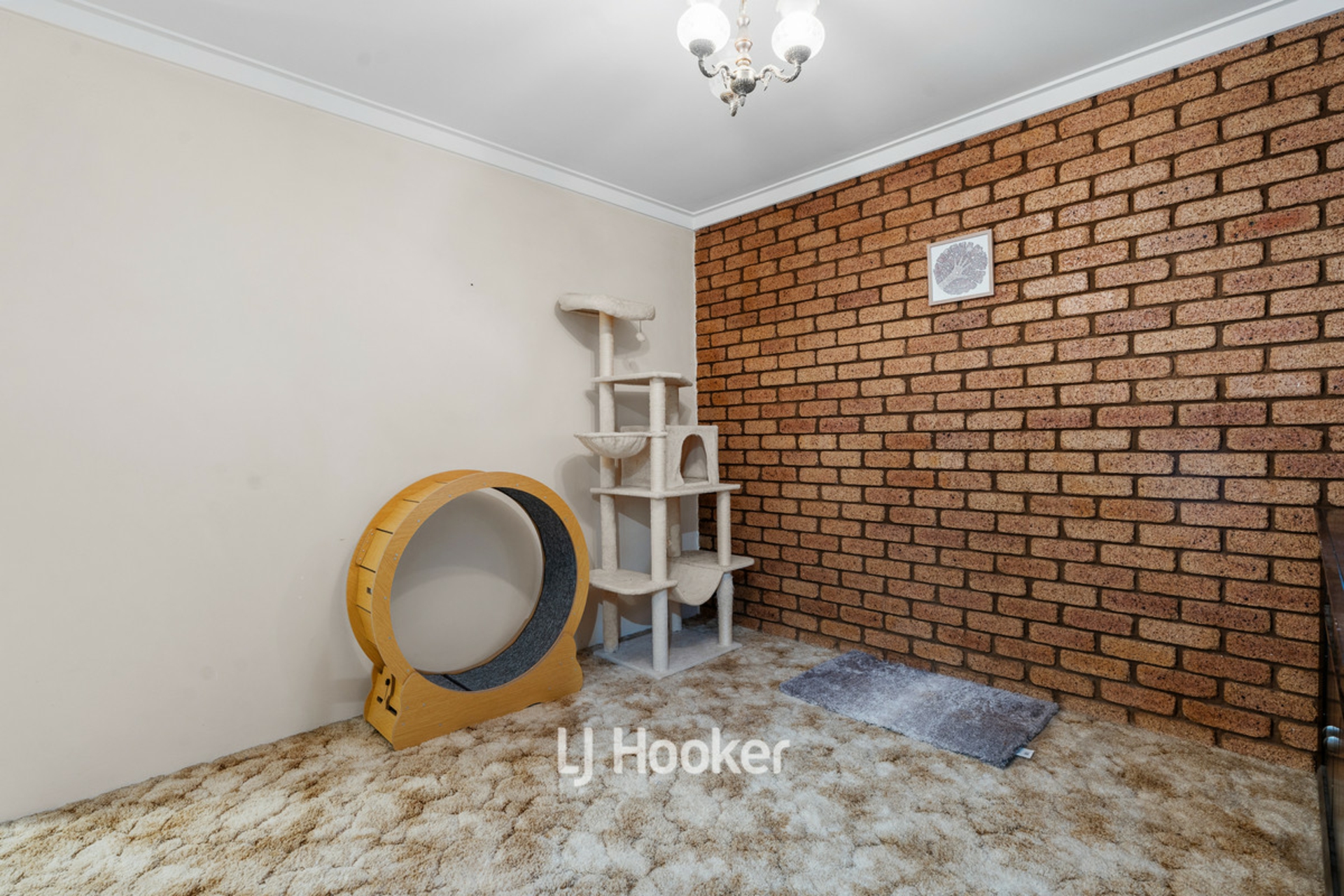 49 Ganfield Street, CAREY PARK