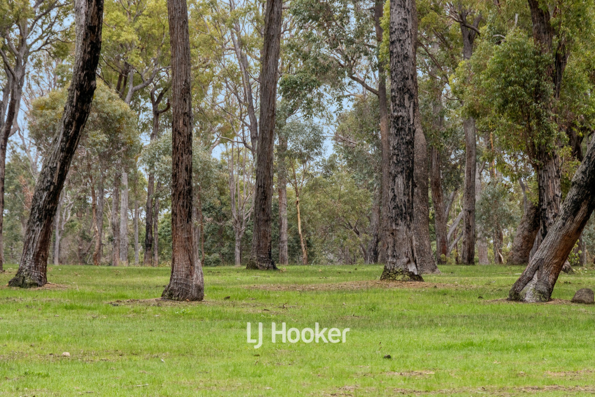 660 McAlinden Road, MCALINDEN